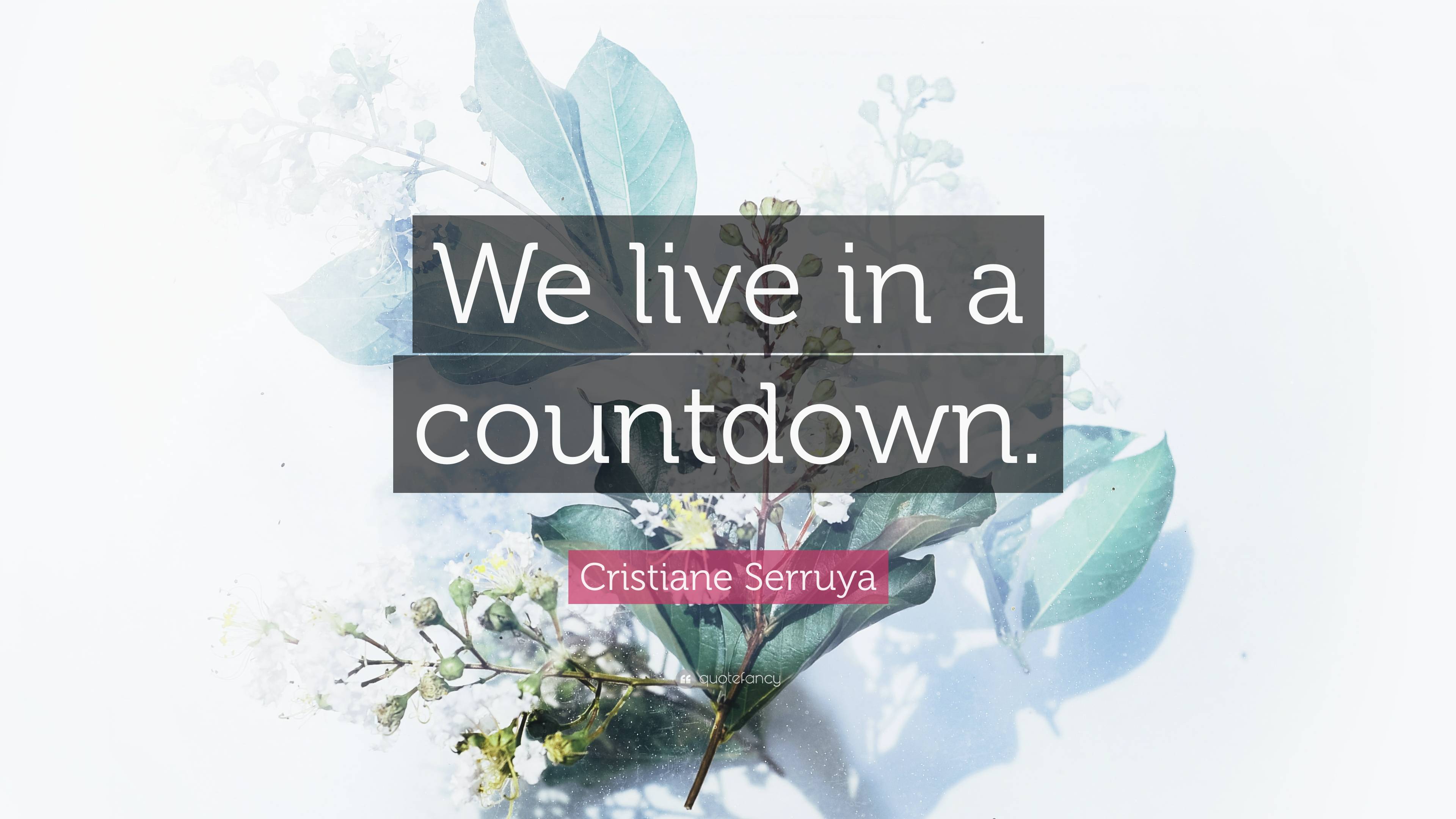 Cristiane Serruya Quote: “We live in a countdown.”