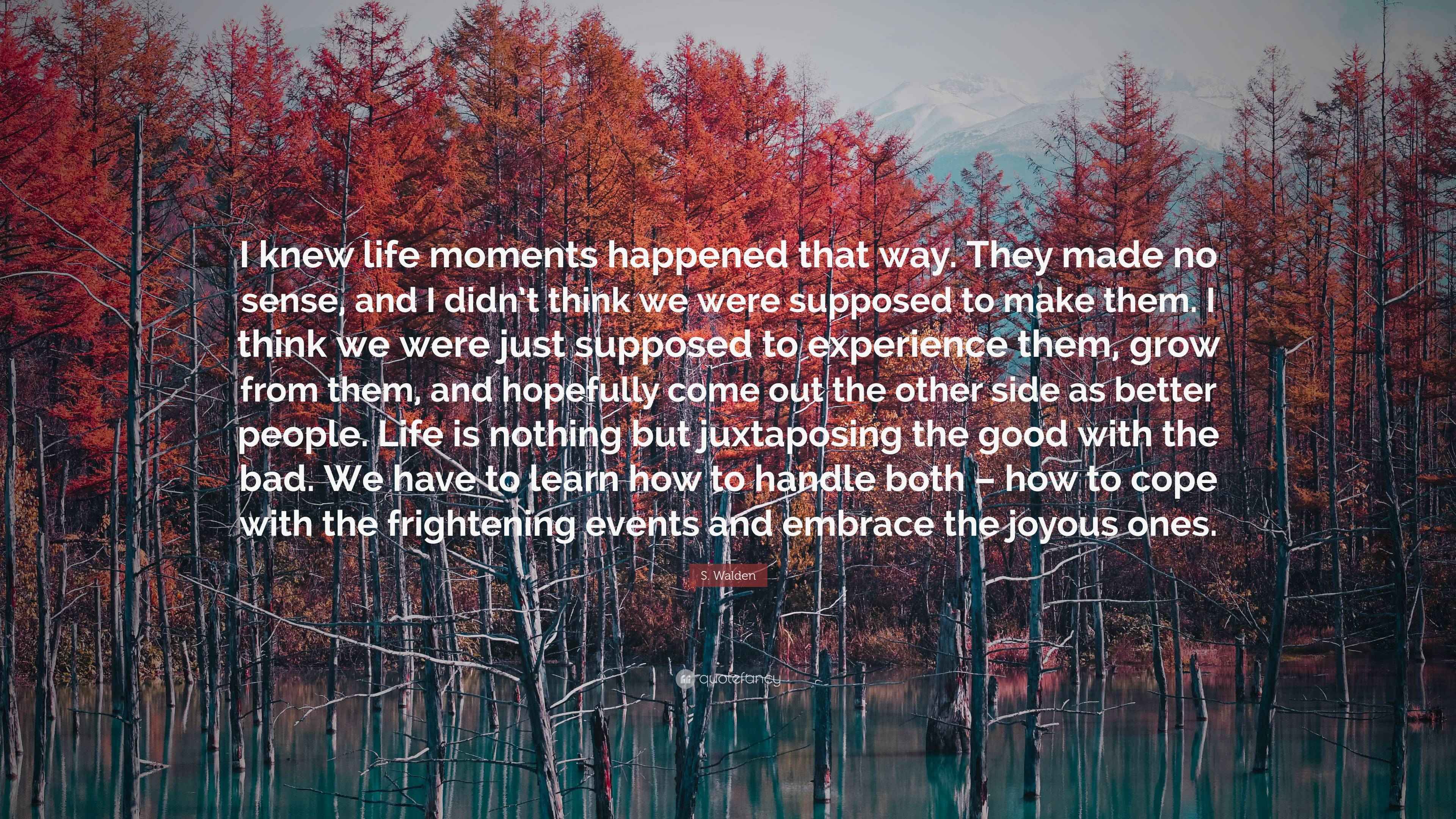 S. Walden Quote “I knew life moments happened that way. They made no