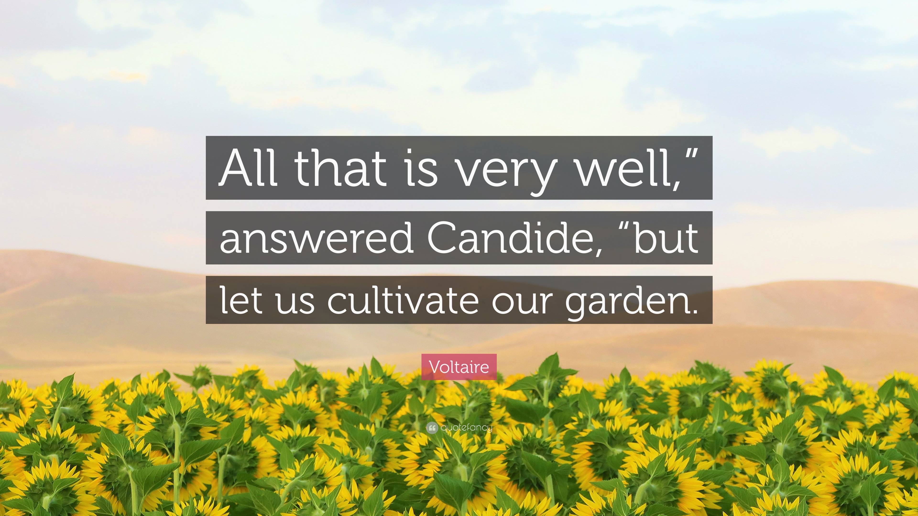Voltaire Quote: “All that is very well,” answered Candide, “but let us ...