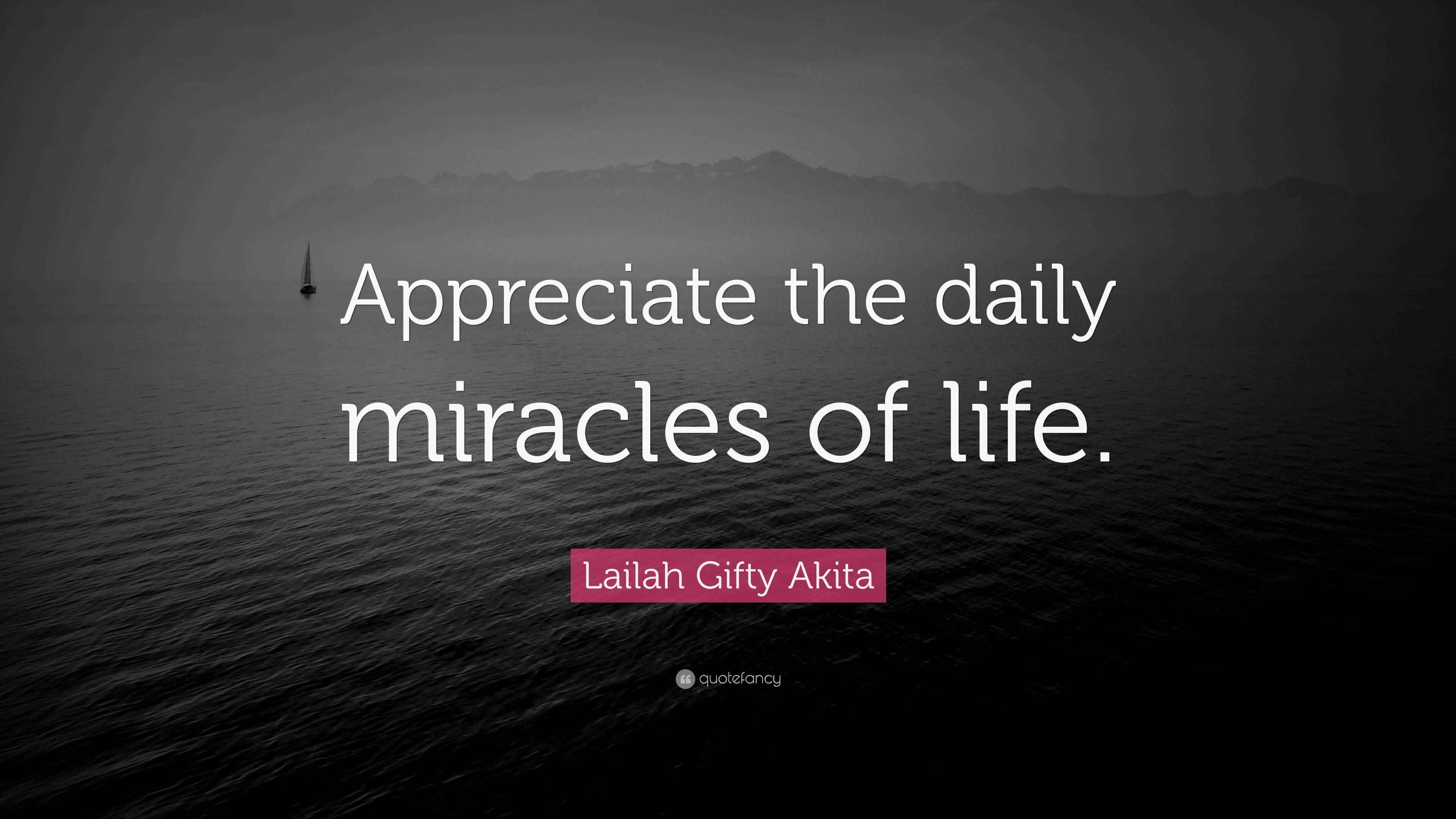 Daily Miracles Lailah Gifty Akita Quote: “Appreciate the daily miracles of life.”