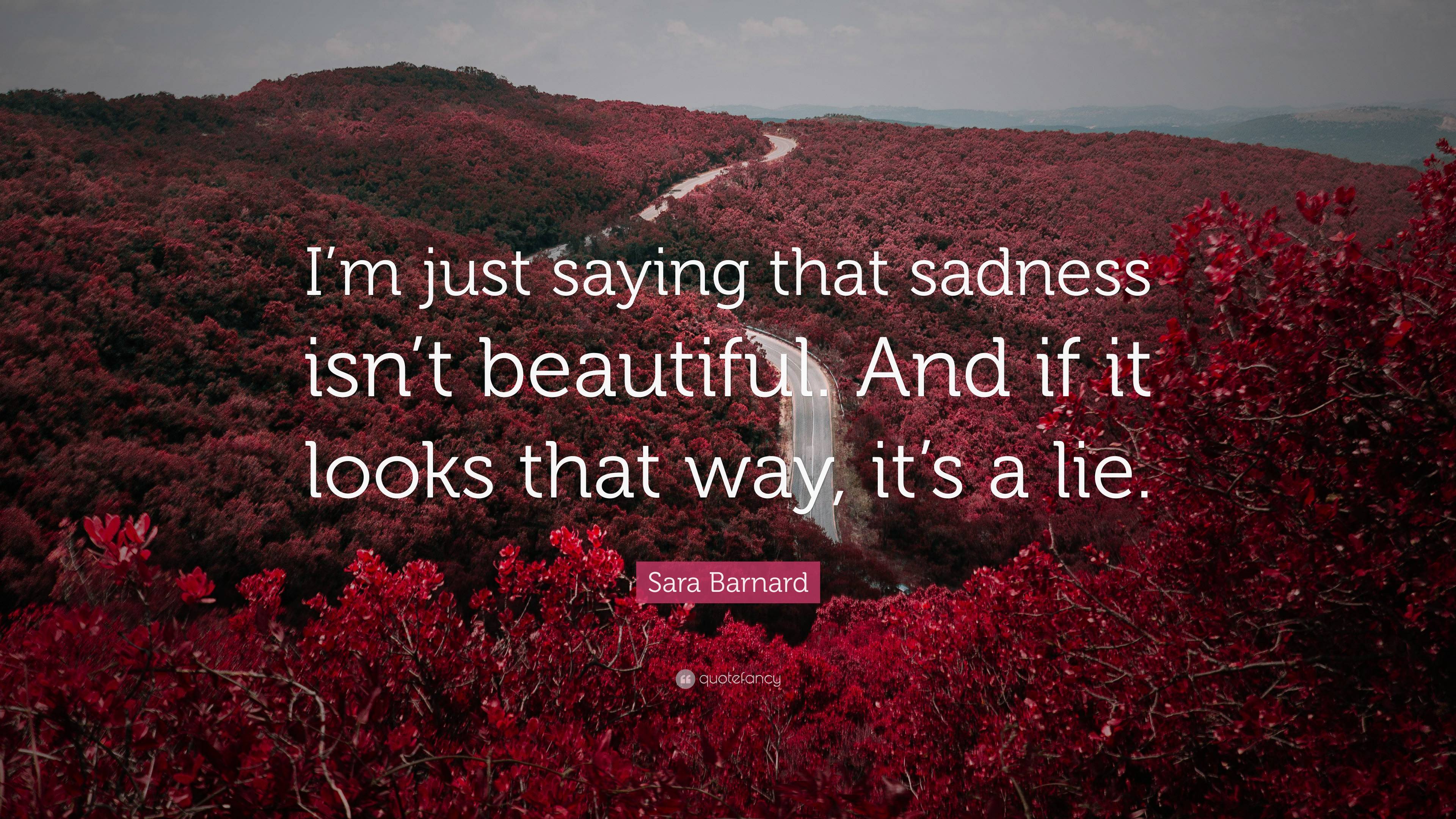 Sara Barnard Quote: “I’m just saying that sadness isn’t beautiful. And ...