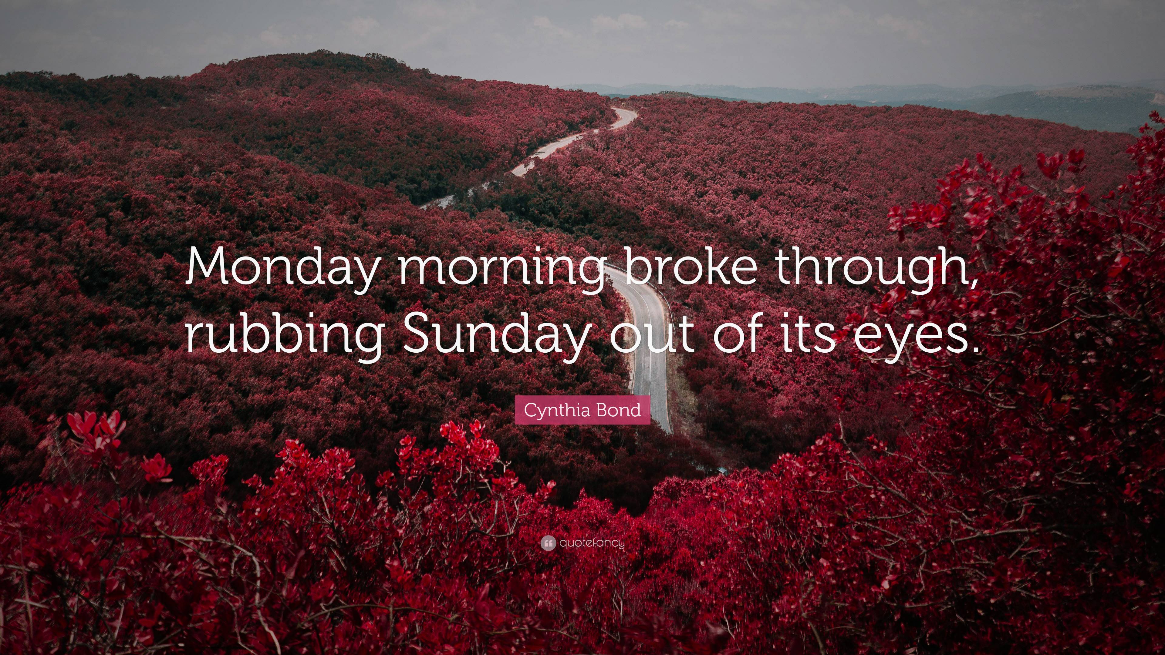 https://quotefancy.com/media/wallpaper/3840x2160/7242806-Cynthia-Bond-Quote-Monday-morning-broke-through-rubbing-Sunday-out.jpg