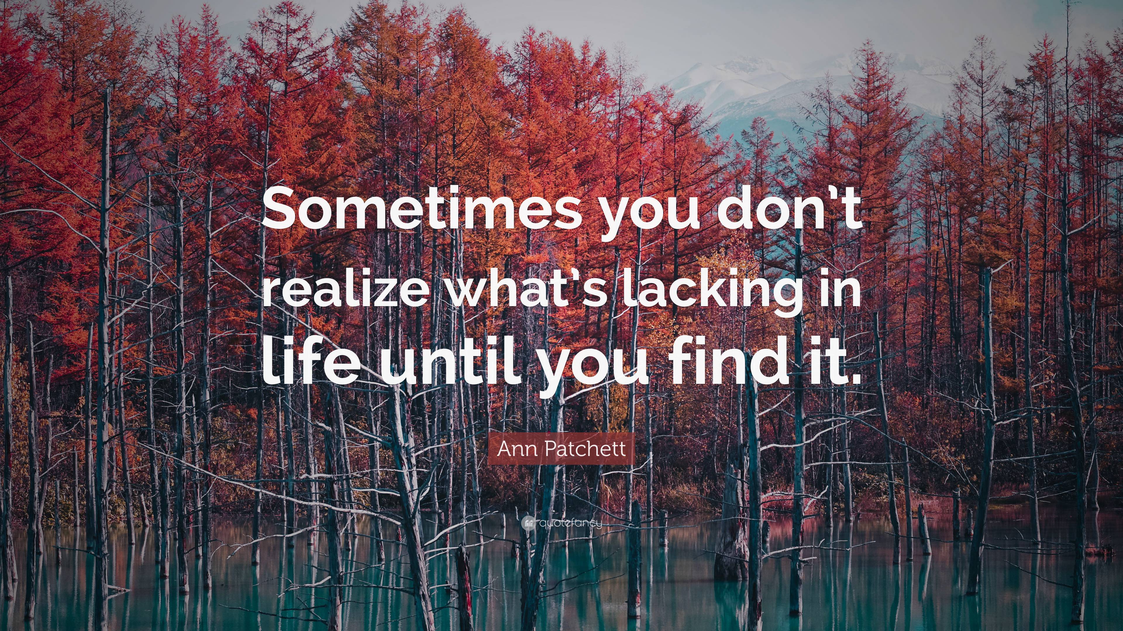 Ann Patchett Quote: “Sometimes you don’t realize what’s lacking in life ...