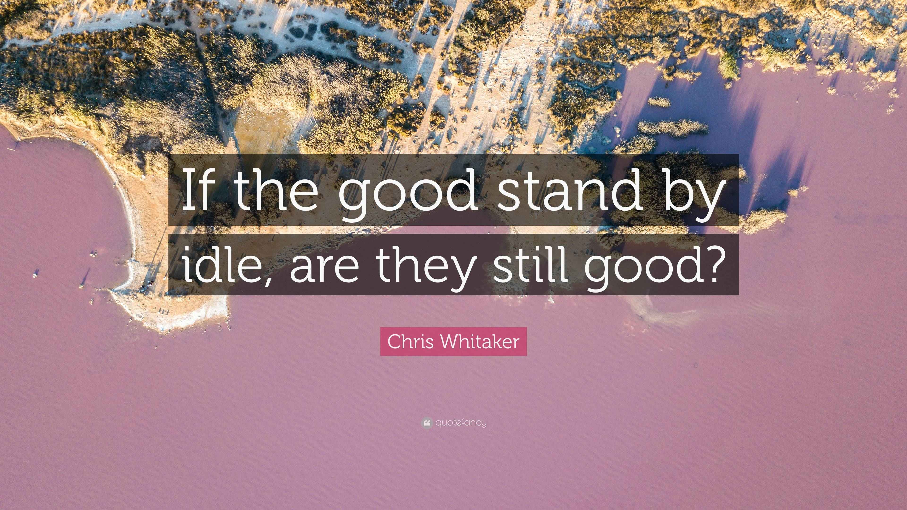 Chris Whitaker Quote “If the good stand by idle, are they still good?”