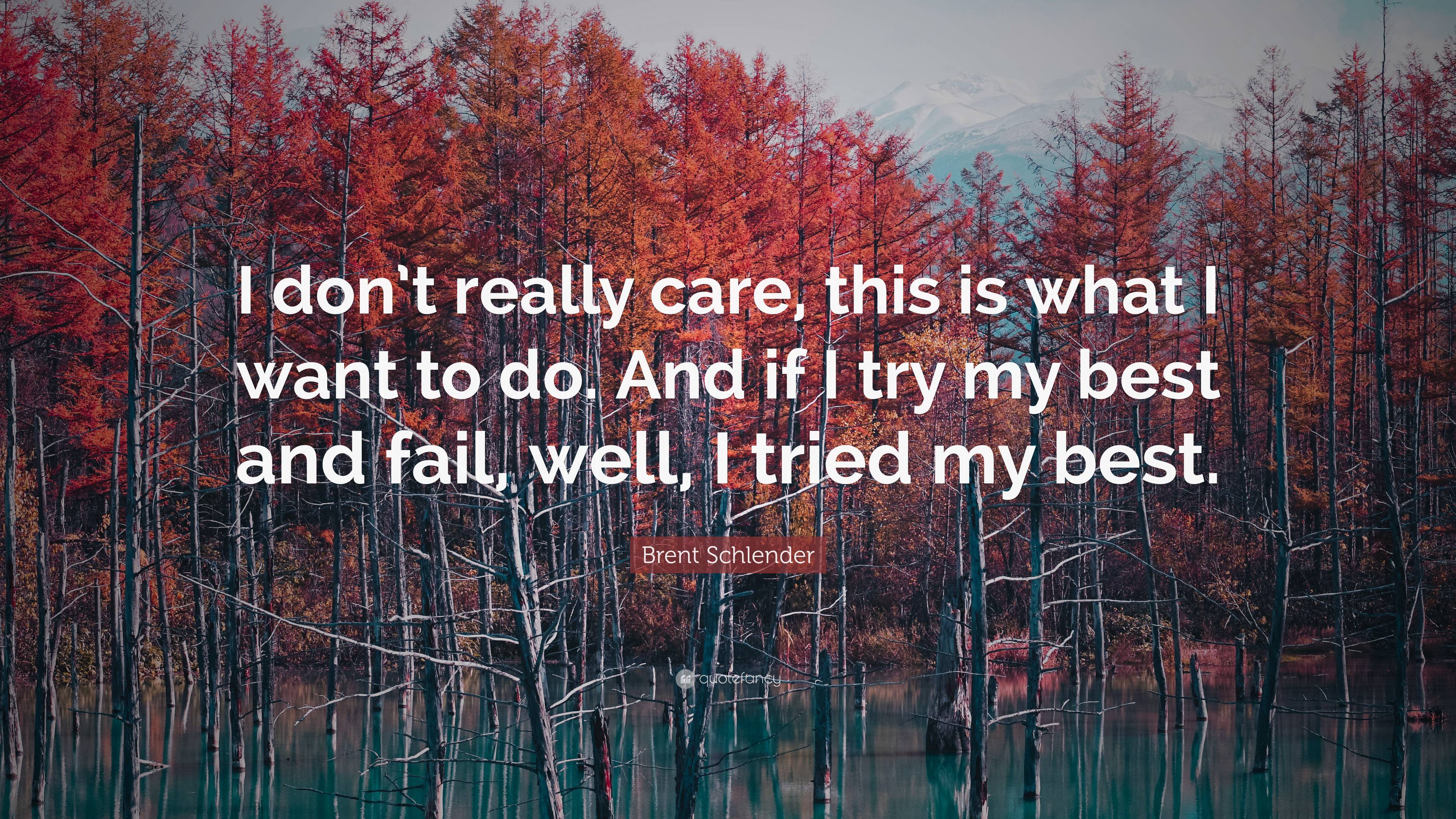 Brent Schlender Quote: “I don’t really care, this is what I want to do ...