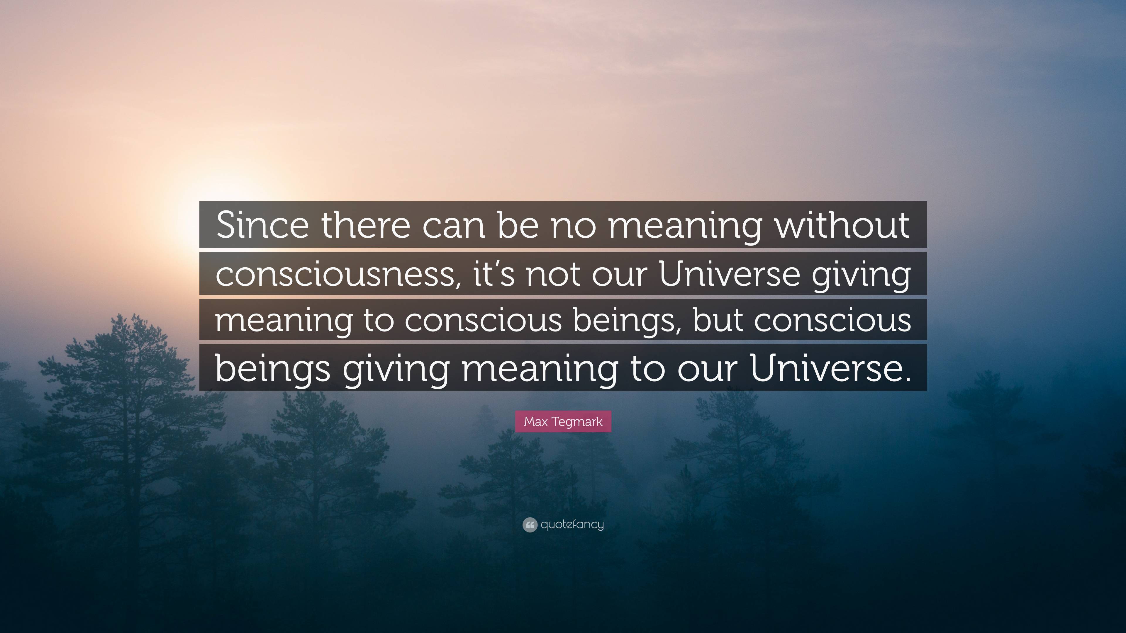 Max Tegmark Quote: “Since there can be no meaning without consciousness ...