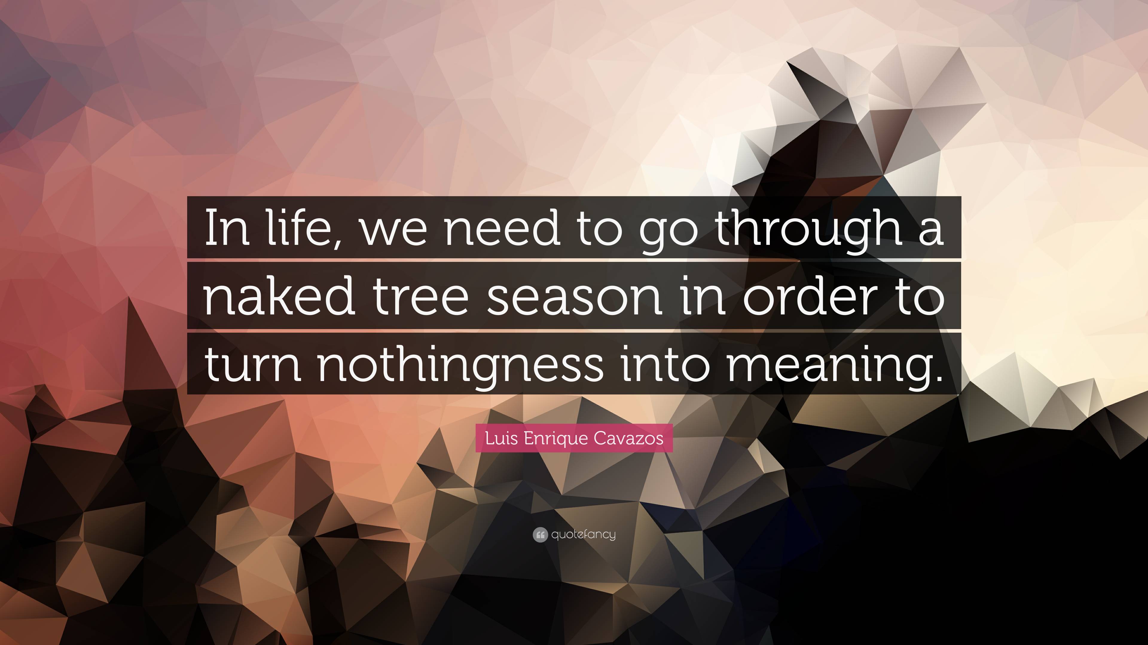 Luis Enrique Cavazos Quote: “In life, we need to go through a naked tree  season in