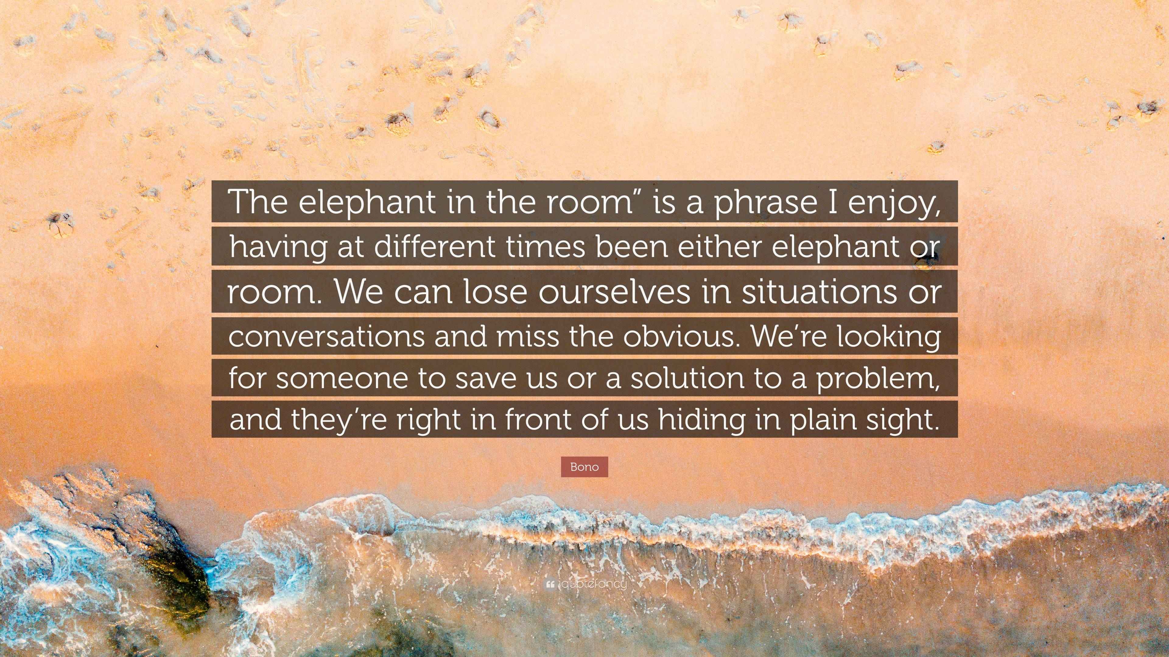 Bono Quote “The elephant in the room” is a phrase I enjoy, having at