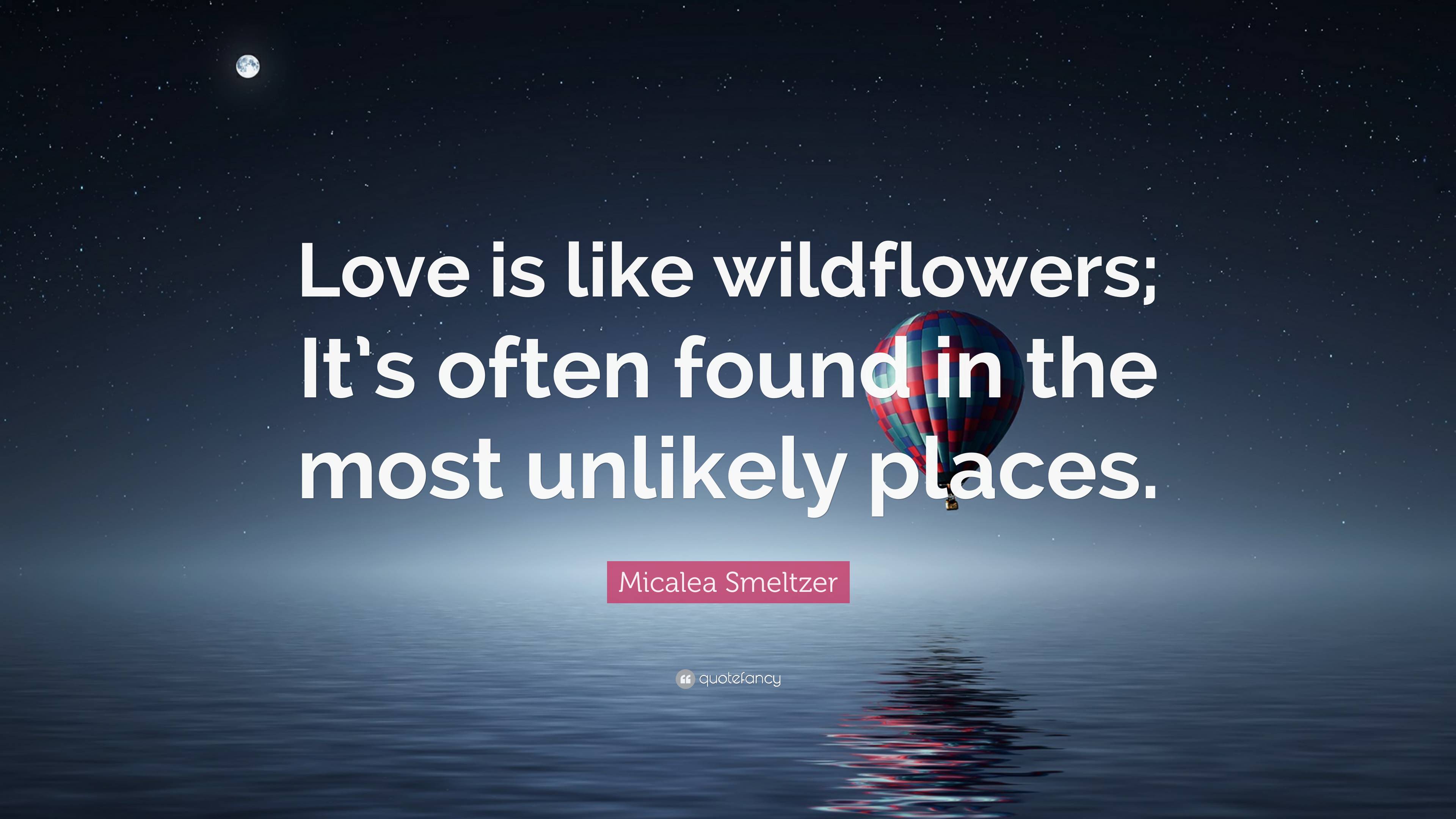 Micalea Smeltzer Quote Love Is Like Wildflowers Its Often Found In The Most Unlikely Places