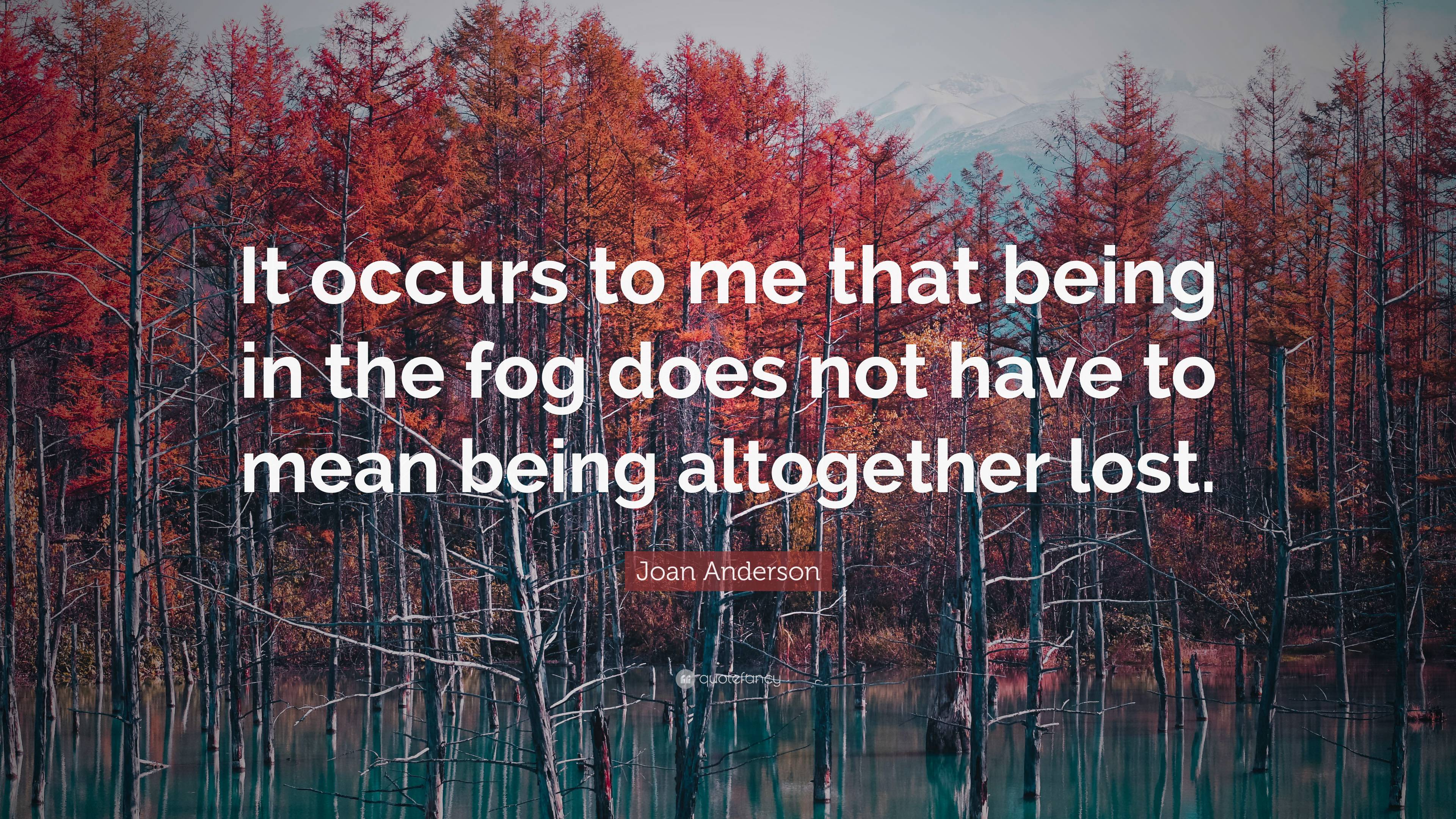 Joan Anderson Quote: “It occurs to me that being in the fog does not ...