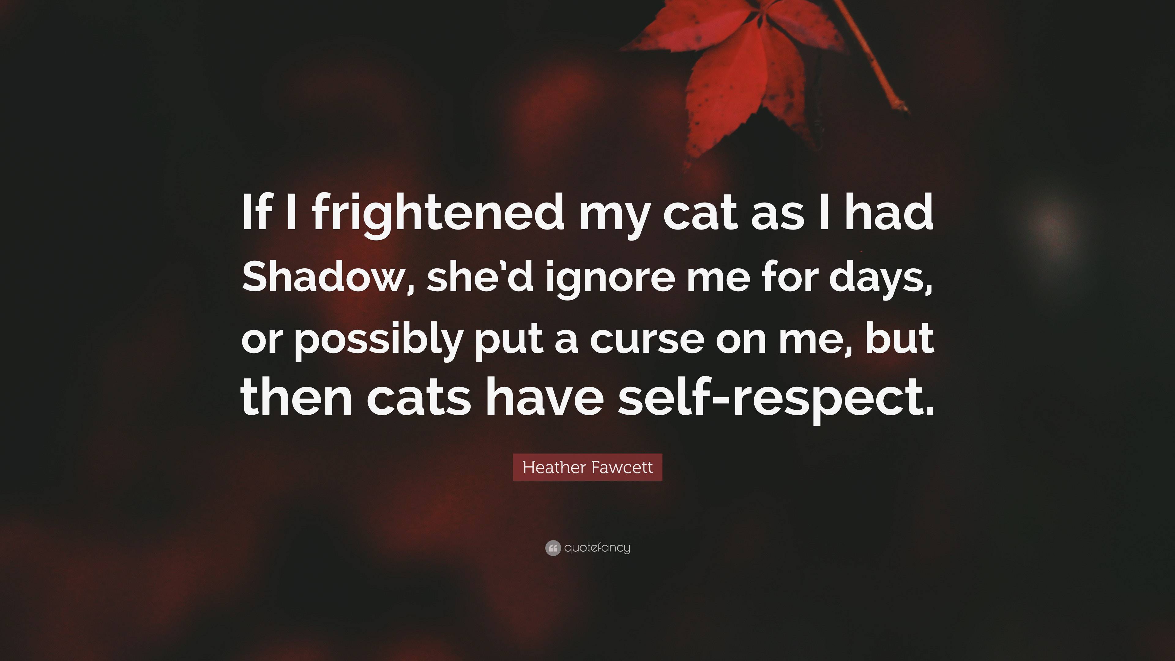 Heather Fawcett Quote: “If I frightened my cat as I had Shadow, she’d ...