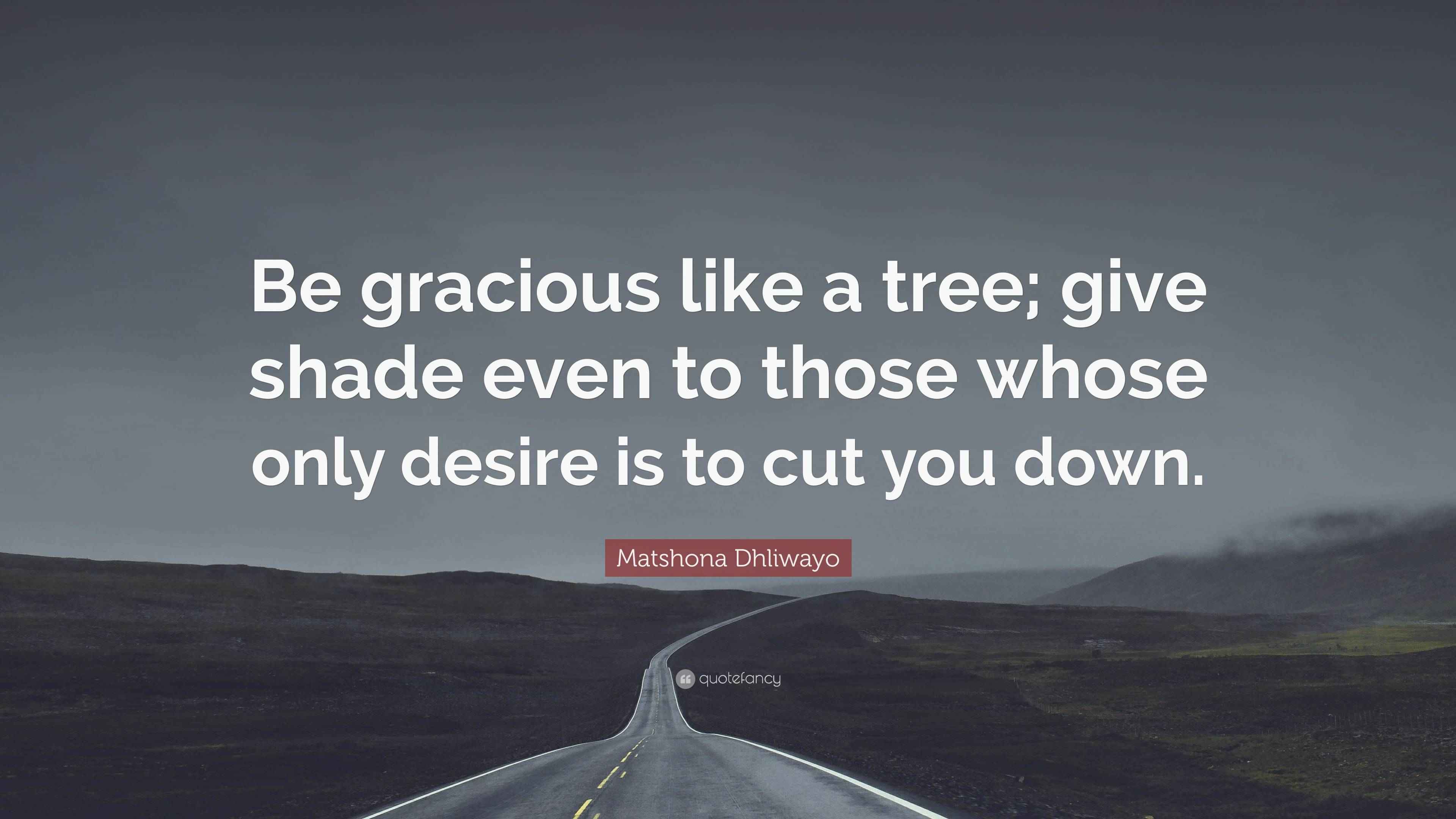 Matshona Dhliwayo Quote “Be gracious like a tree; give shade even to