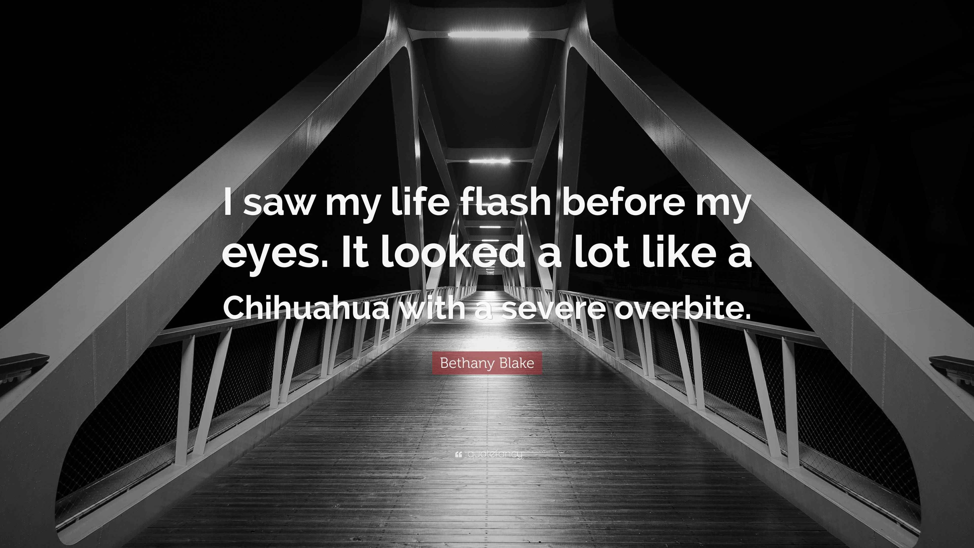 Bethany Blake Quote “I saw my life flash before my eyes. It looked a