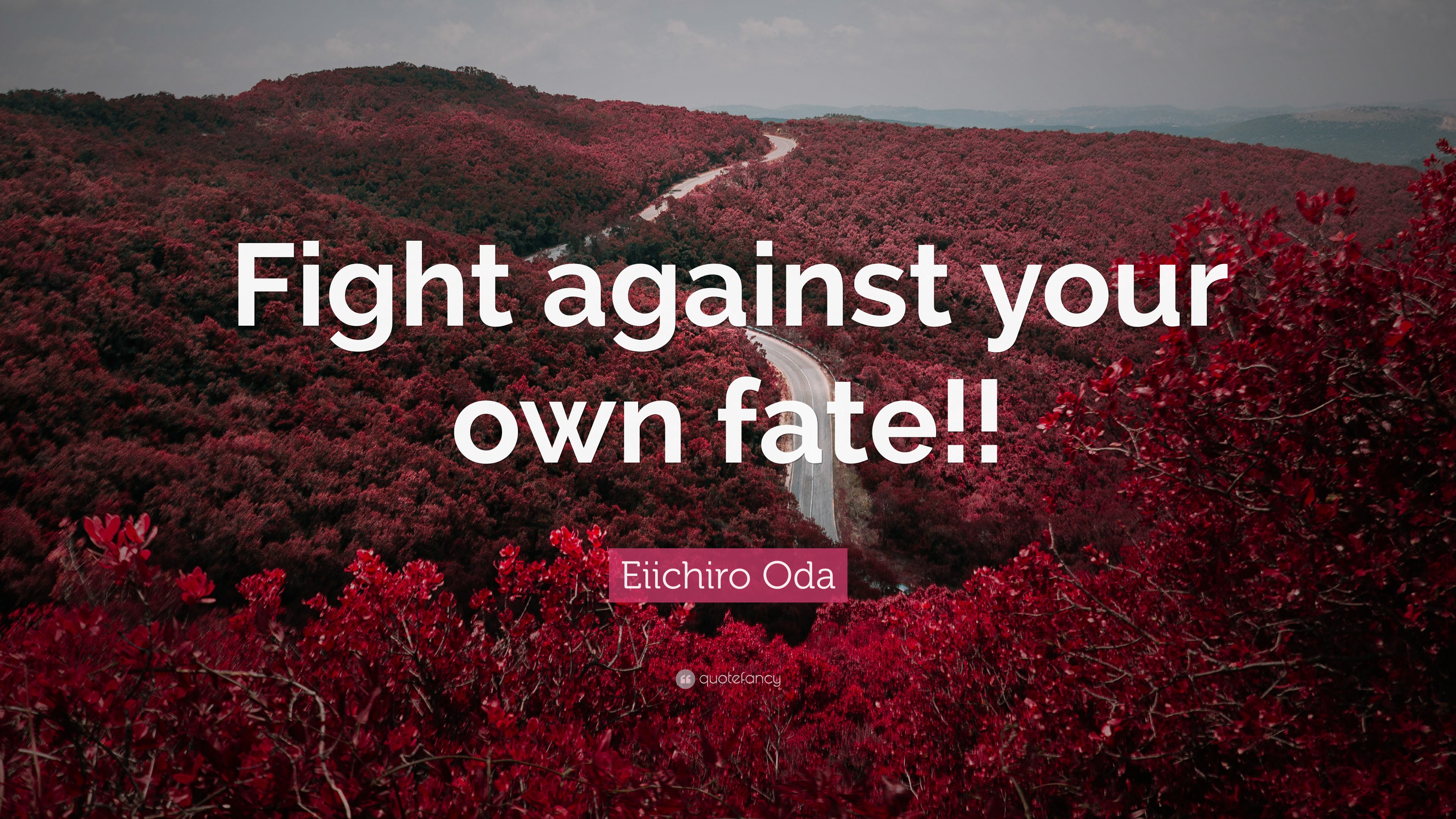 Eiichiro Oda Quote: “Fight Against Your Own Fate!!”