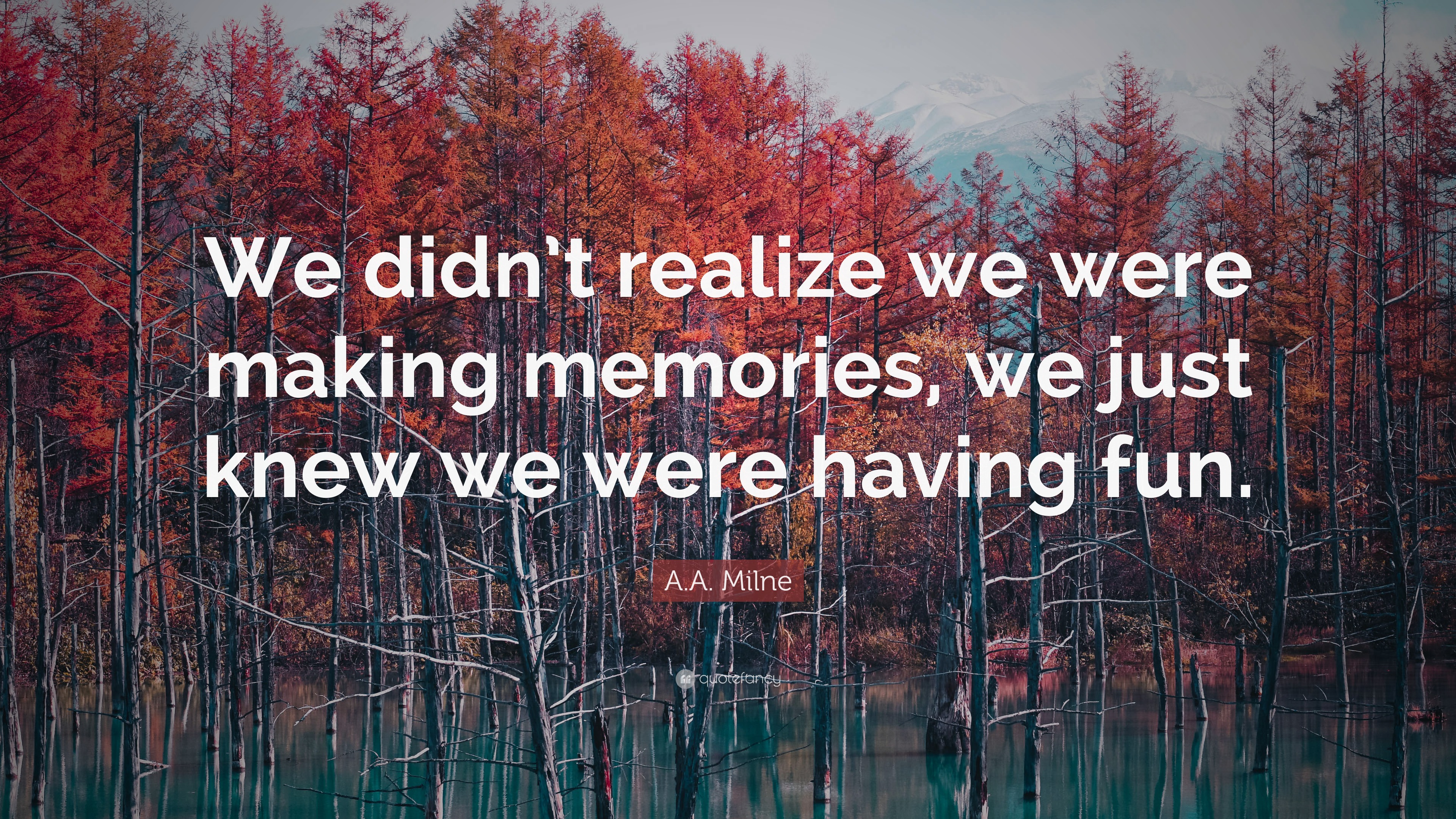 We Didn't Realize We Were Making Memories..