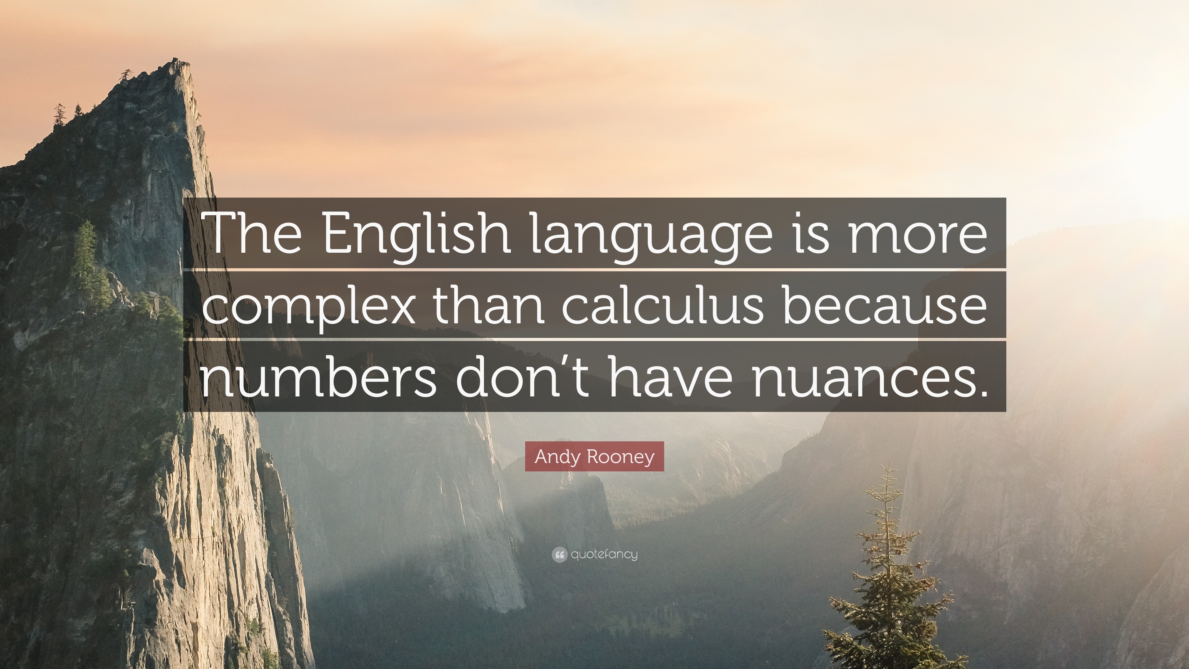 Andy Rooney Quote  The English  language  is more complex 