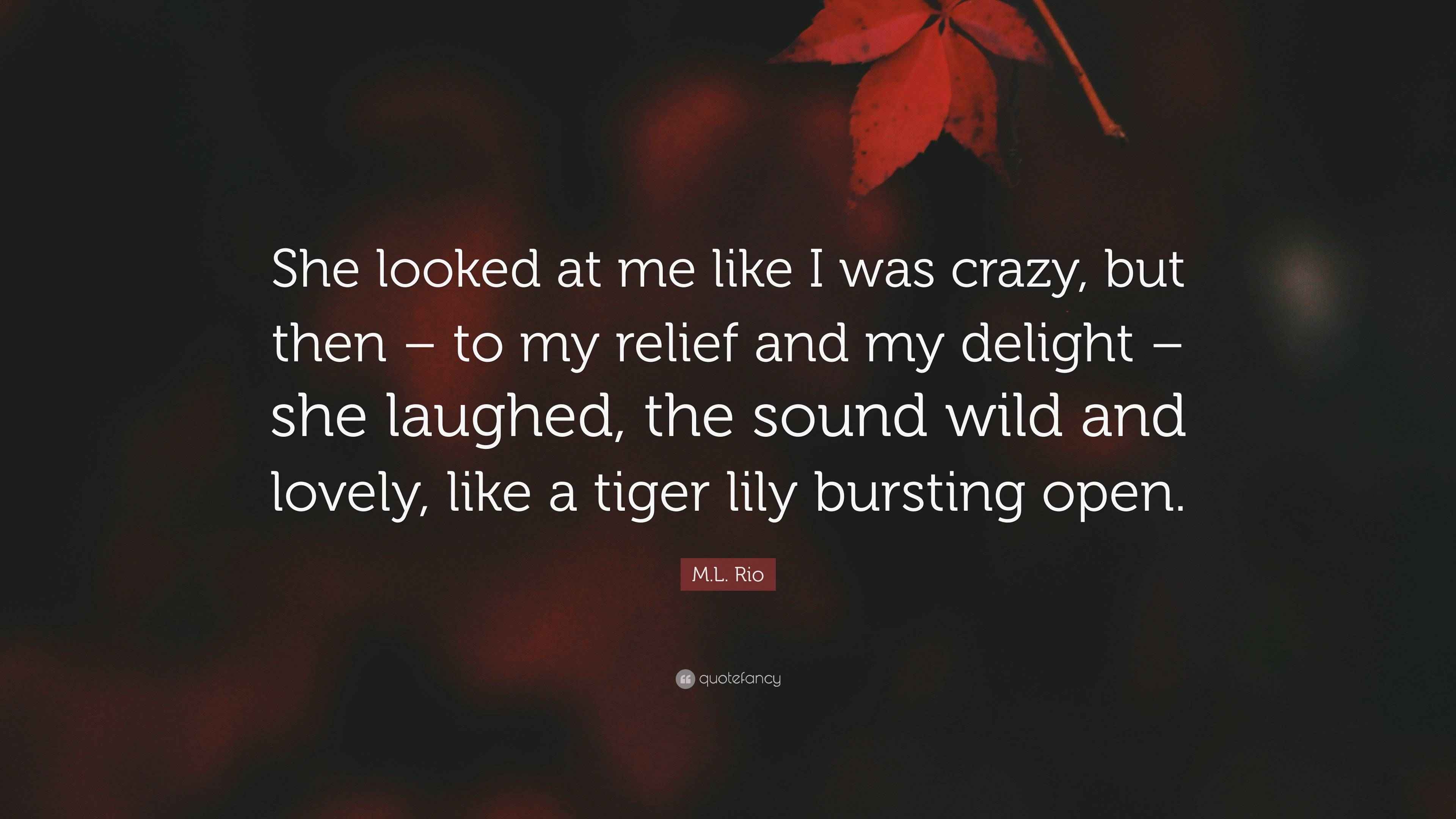 M.L. Rio Quote “She looked at me like I was crazy, but then to my