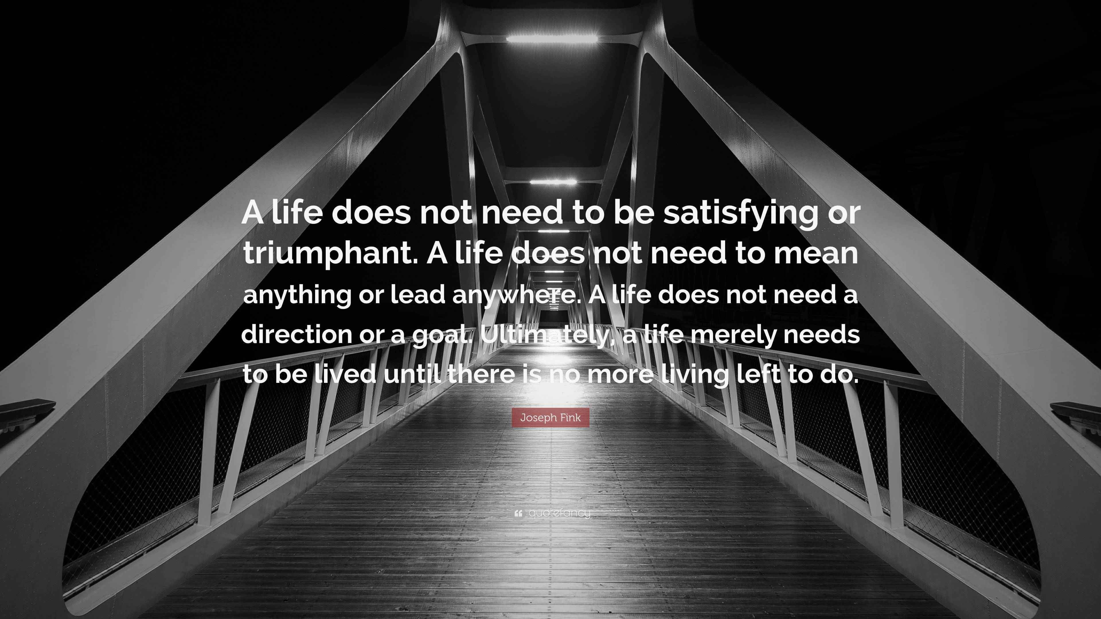 Joseph Fink Quote “A life does not need to be satisfying or triumphant