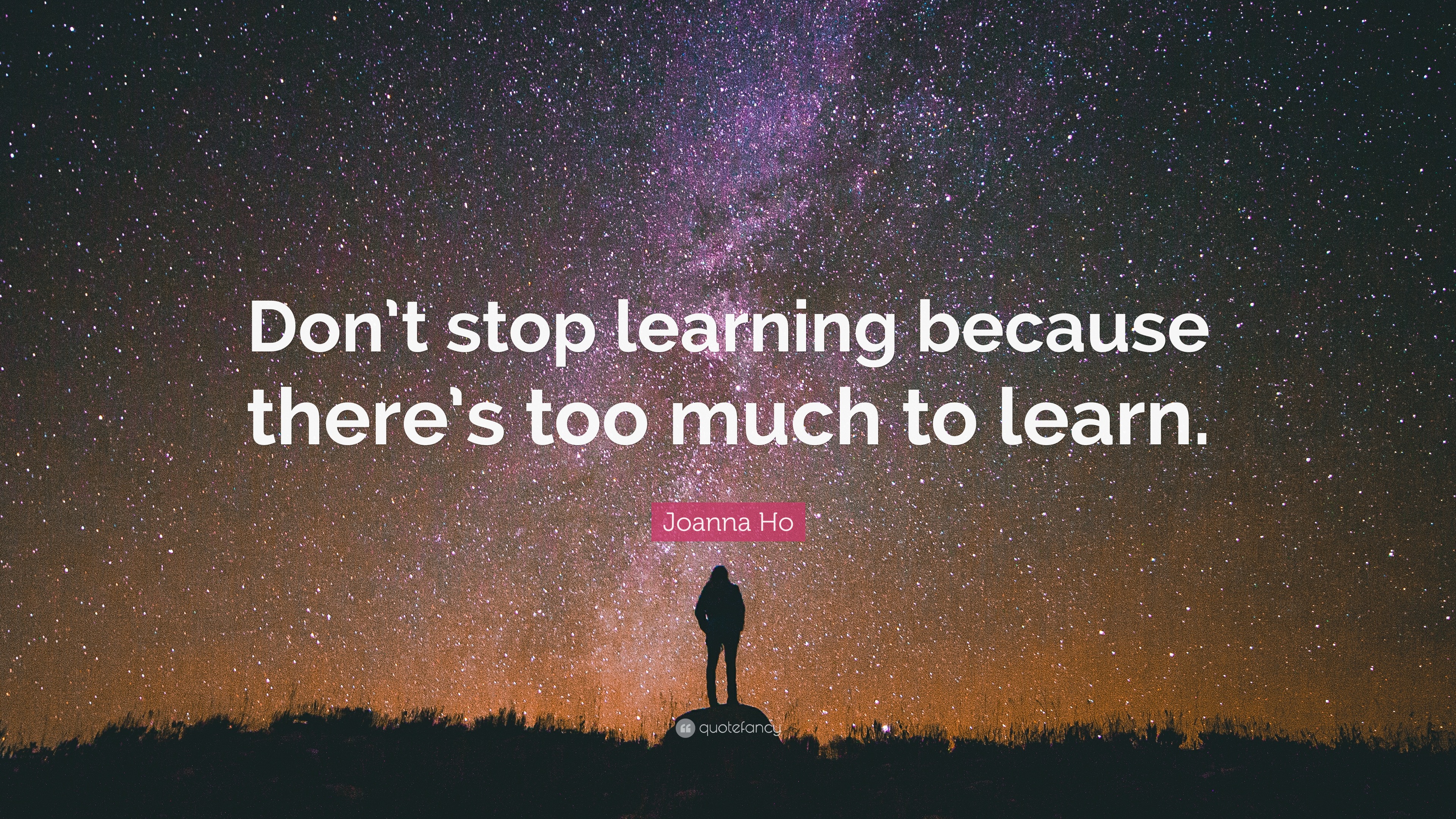 Joanna Ho Quote: “Don’t stop learning because there’s too much to learn.”