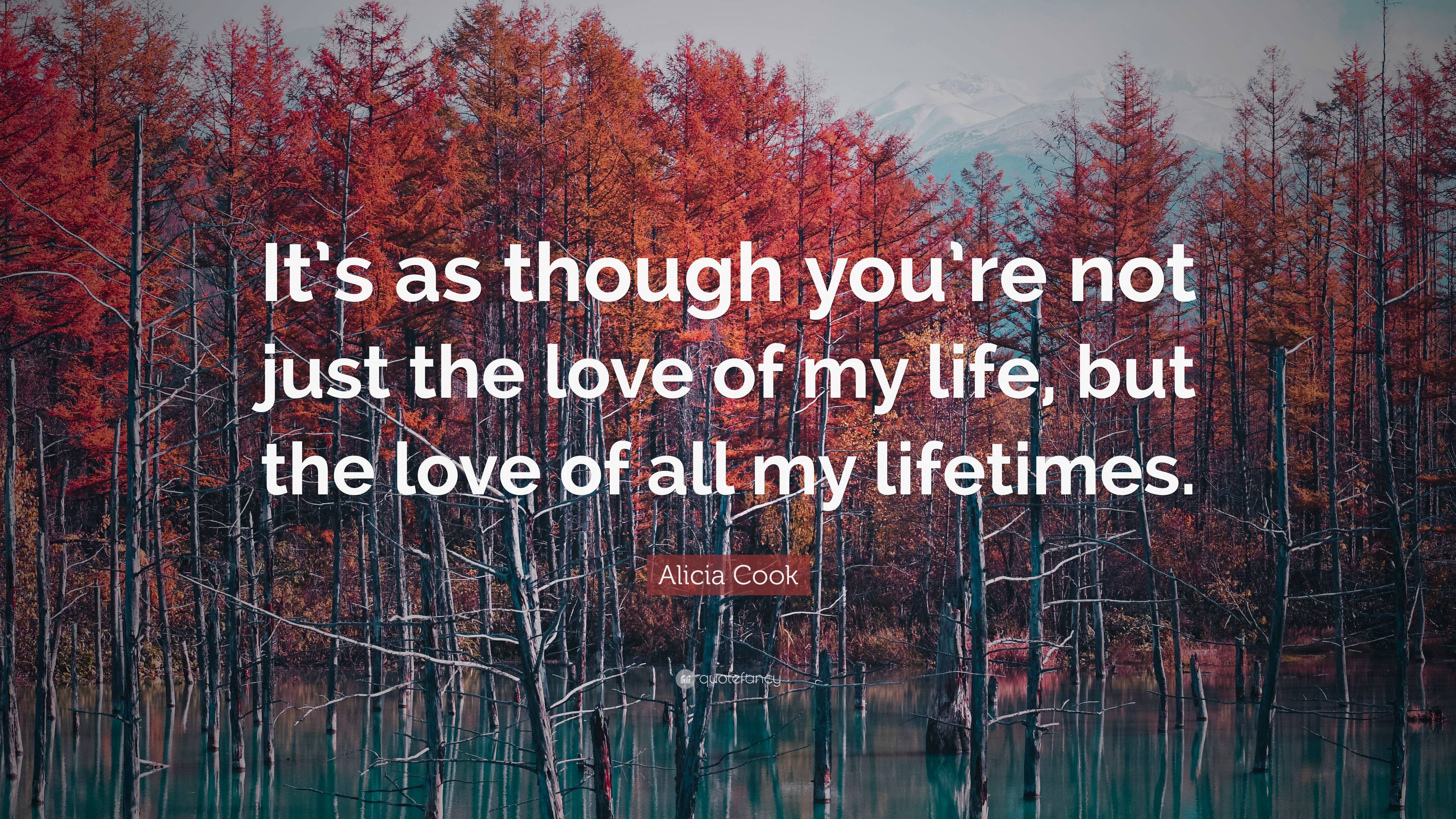 Alicia Cook Quote: “It’s as though you’re not just the love of my life ...