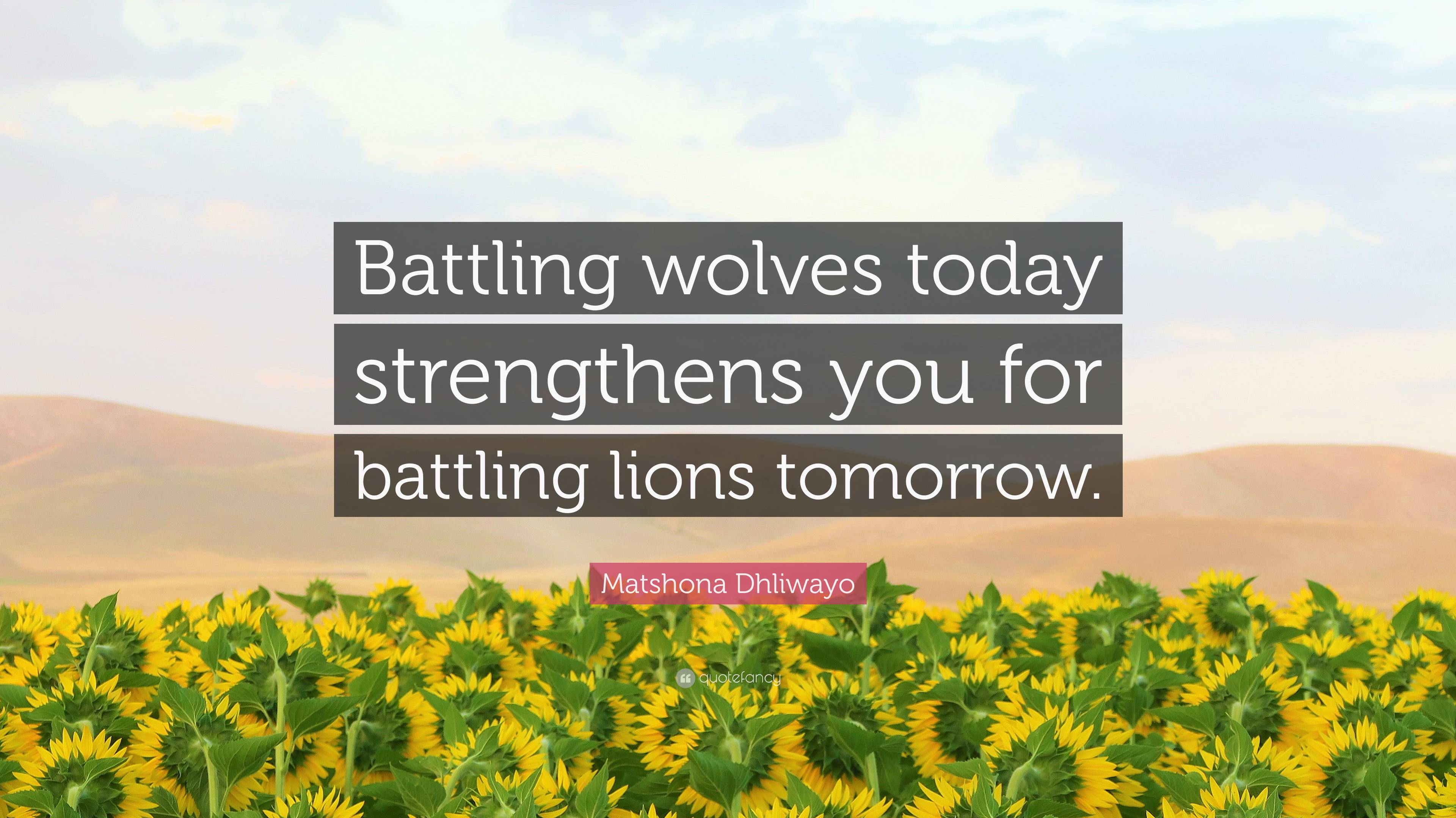 Matshona Dhliwayo Quote: “Battling wolves today strengthens you for 