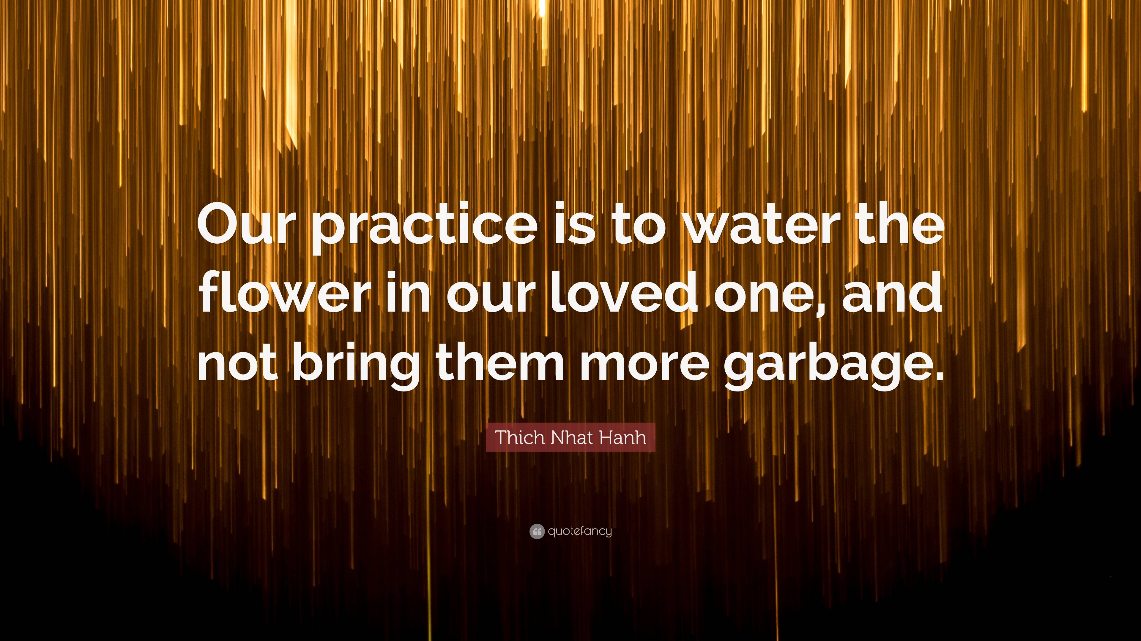 Thich Nhat Hanh Quote “Our practice is to water the flower in our