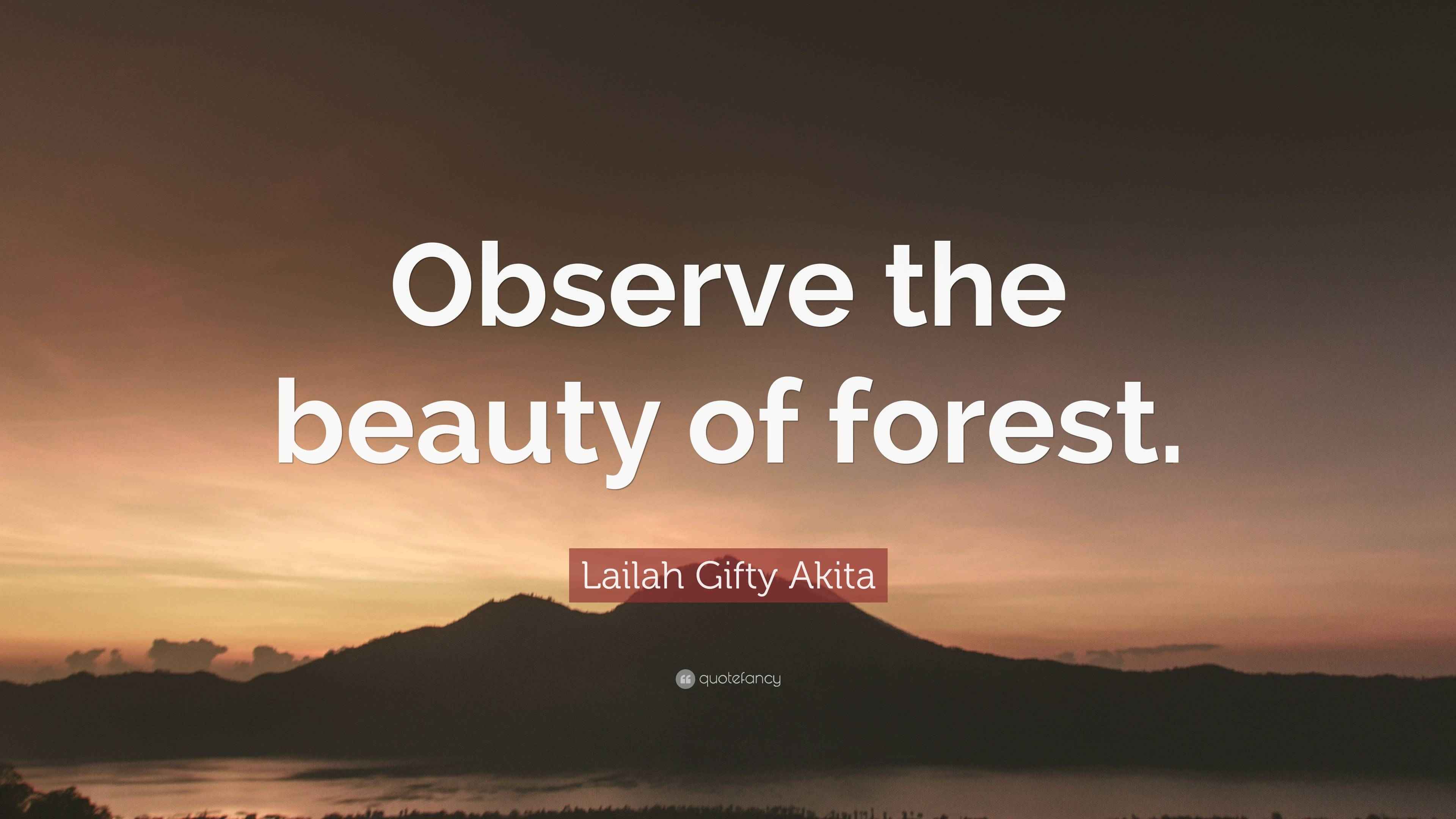 Lailah Gifty Akita Quote: “Observe the beauty of forest.”