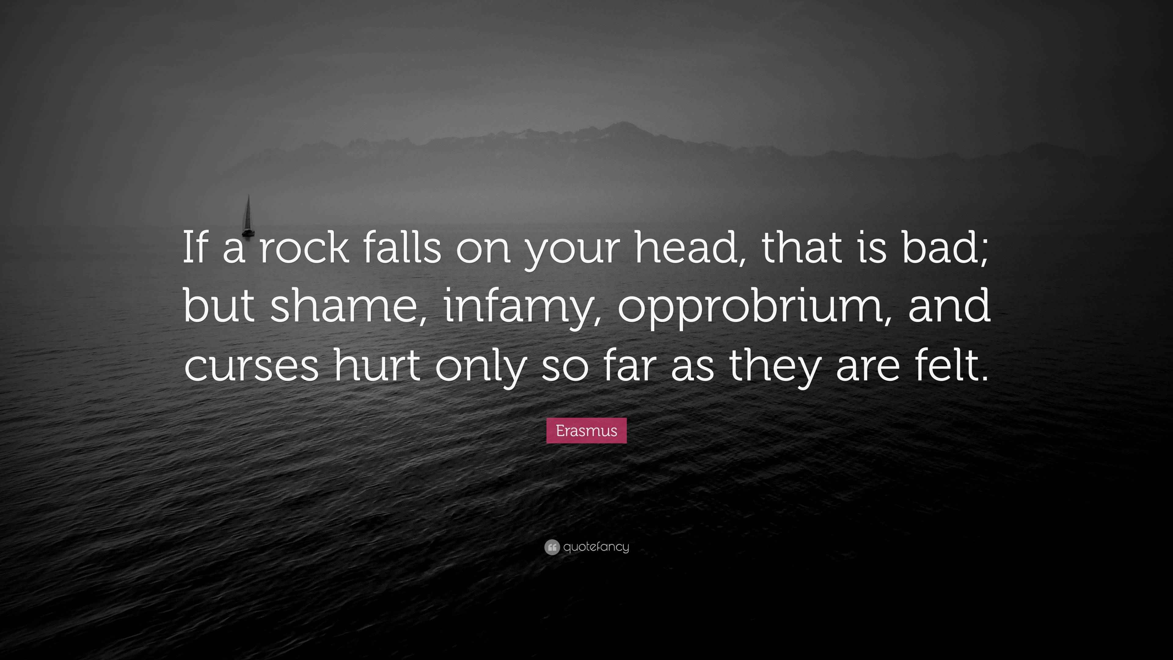 Erasmus Quote “If a rock falls on your head, that is bad; but shame
