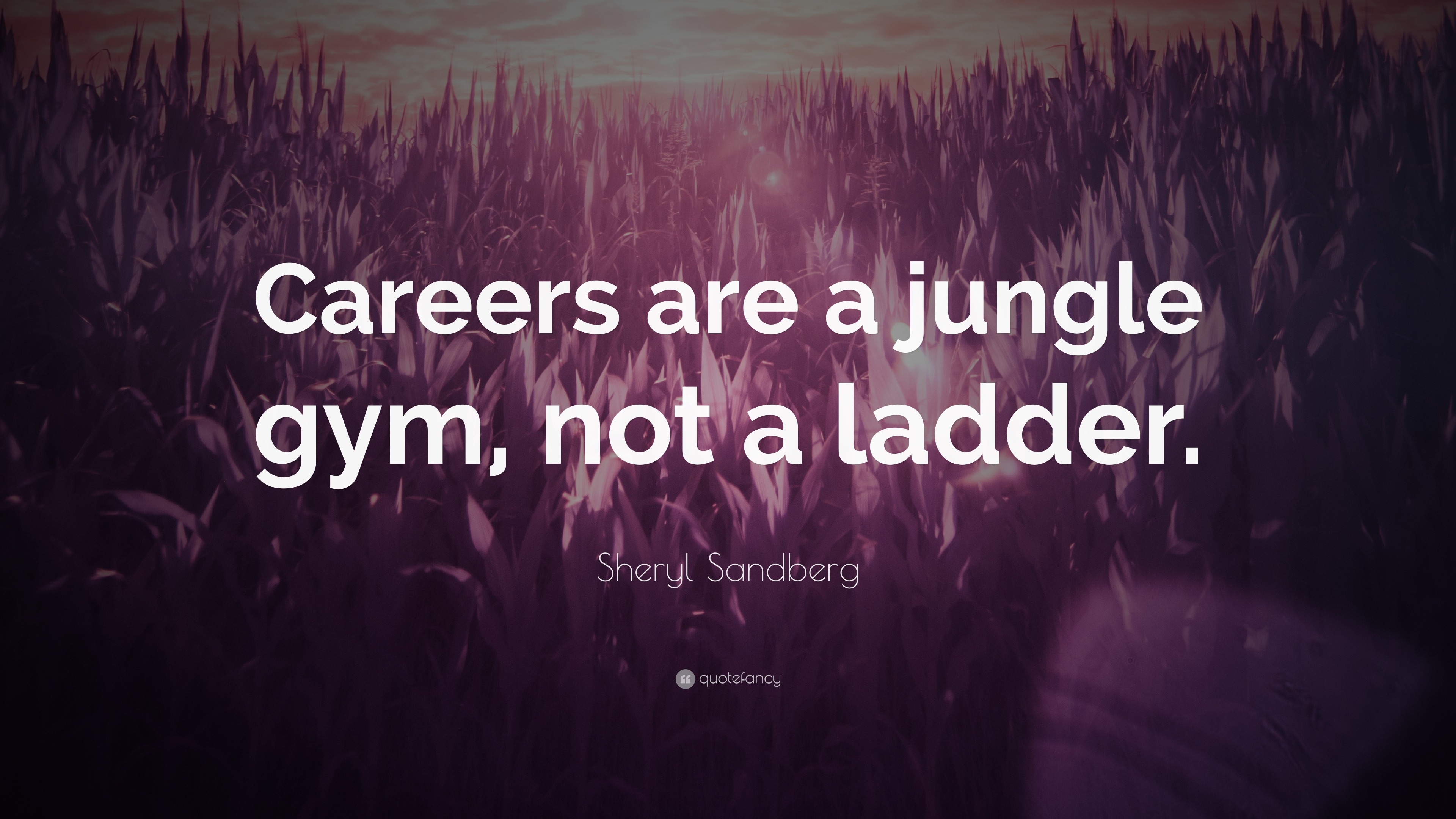 Sheryl Sandberg Quote: “Careers are a jungle gym, not a ladder.”