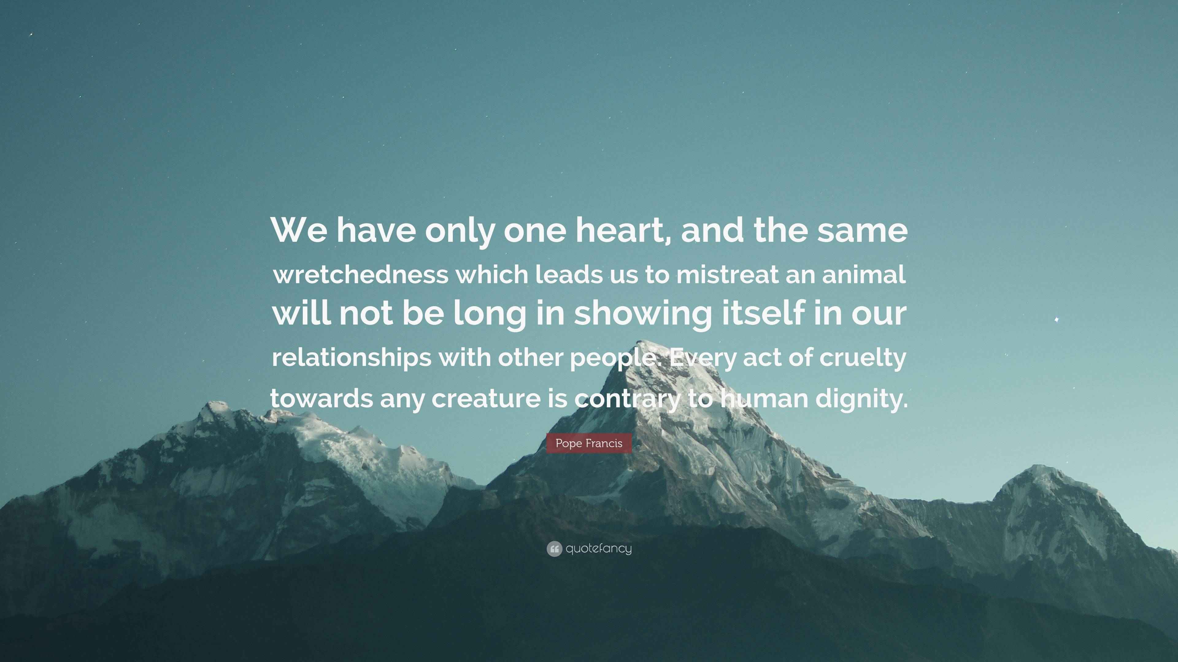 Wretchedness Pope Francis Quote: “We have only one heart, and the same wretchedness ...