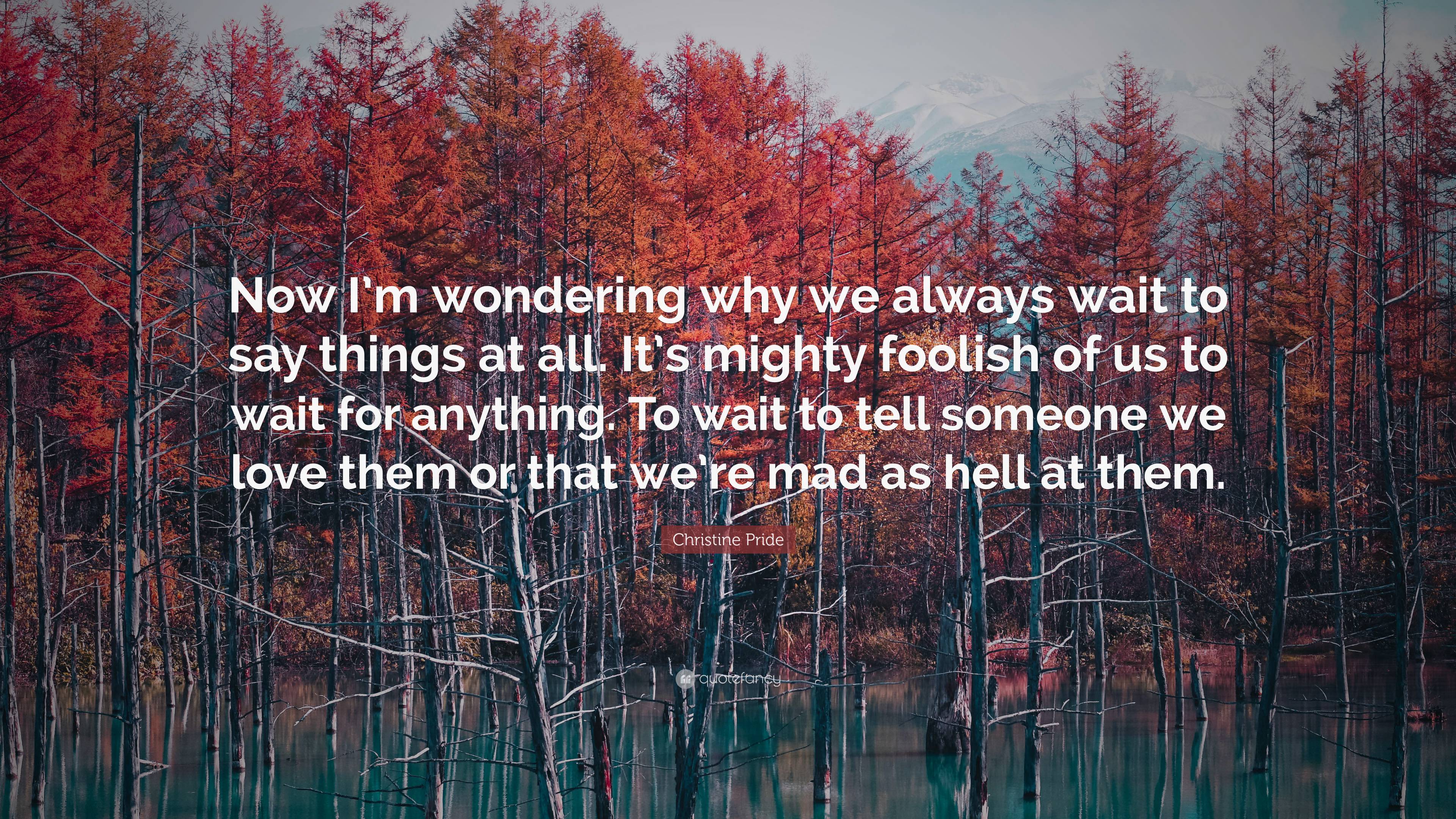 Christine Pride Quote: “Now I’m wondering why we always wait to say ...