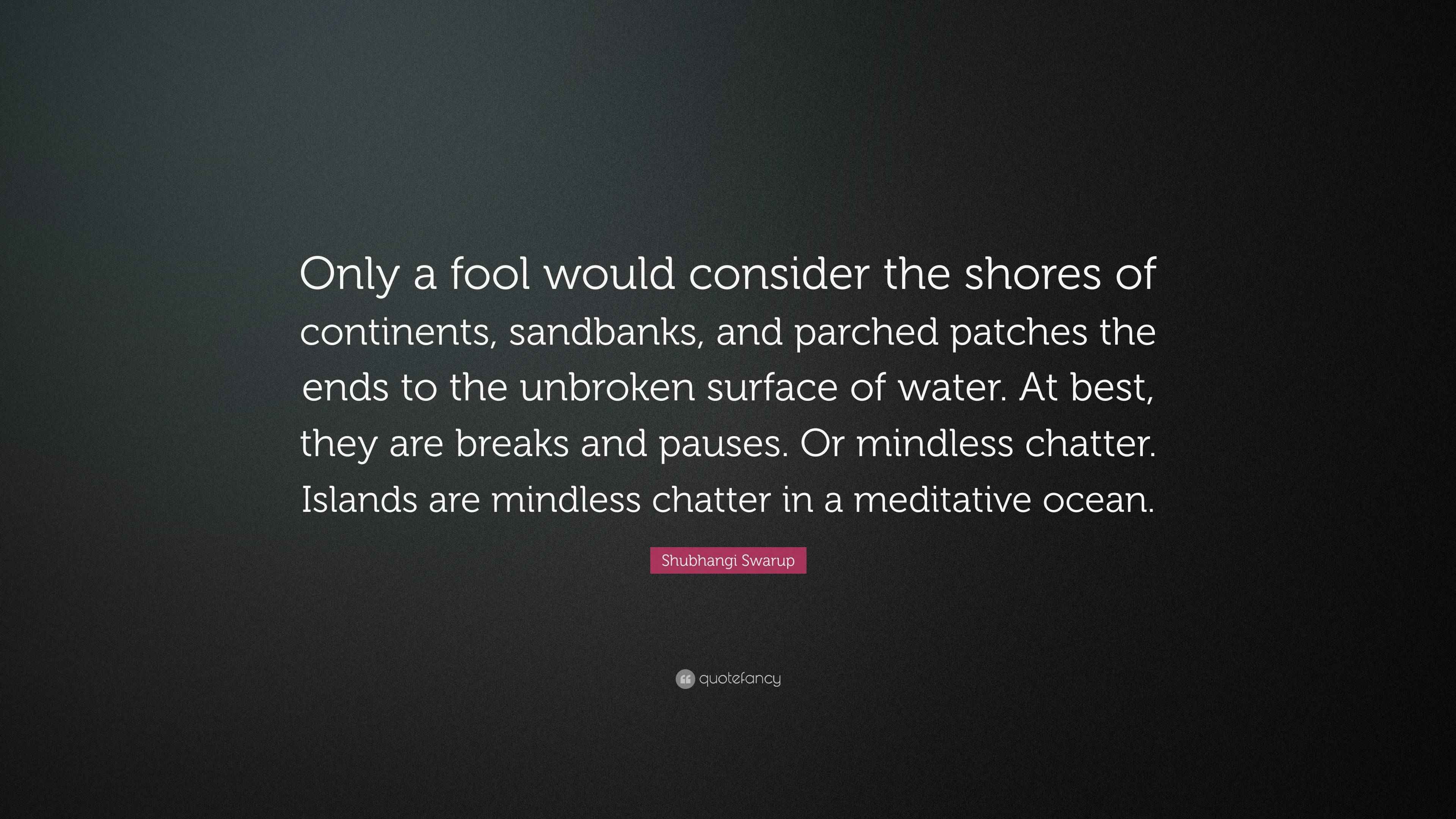 Shubhangi Swarup Quote: “Only a fool would consider the shores of ...