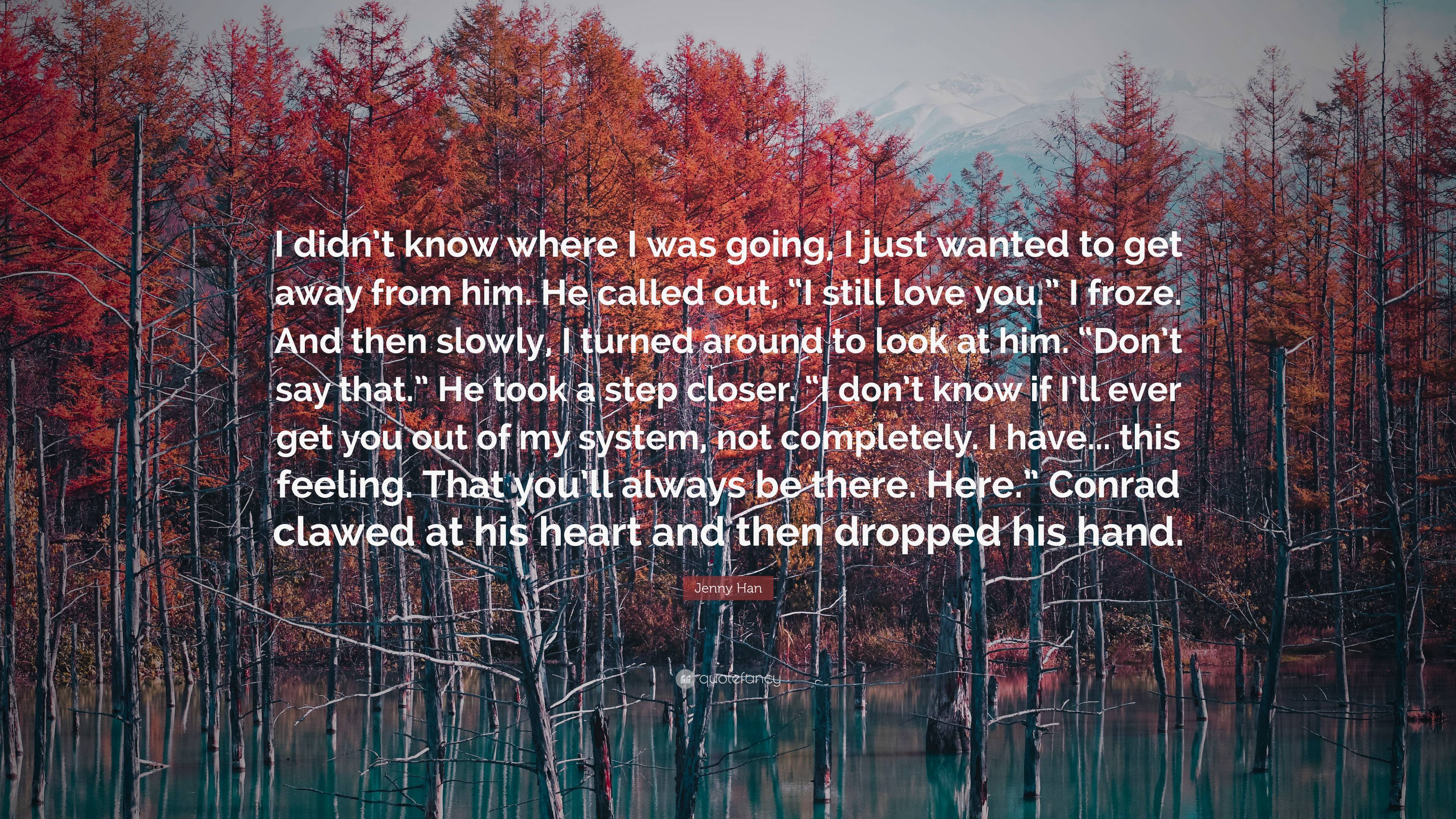 Jenny Han Quote: “I didn’t know where I was going, I just wanted to get ...