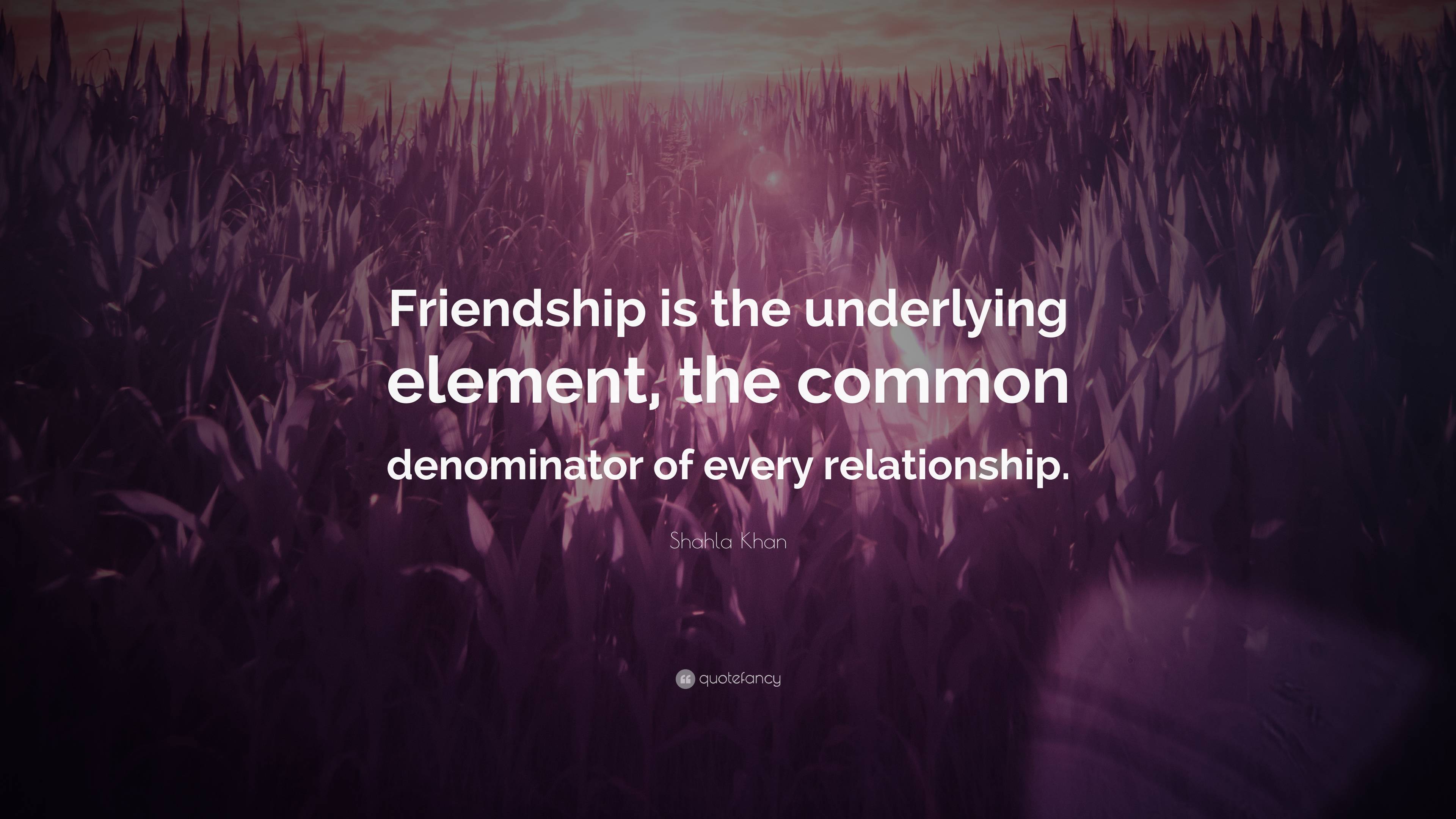 Shahla Khan Quote: “Friendship is the underlying element, the common ...