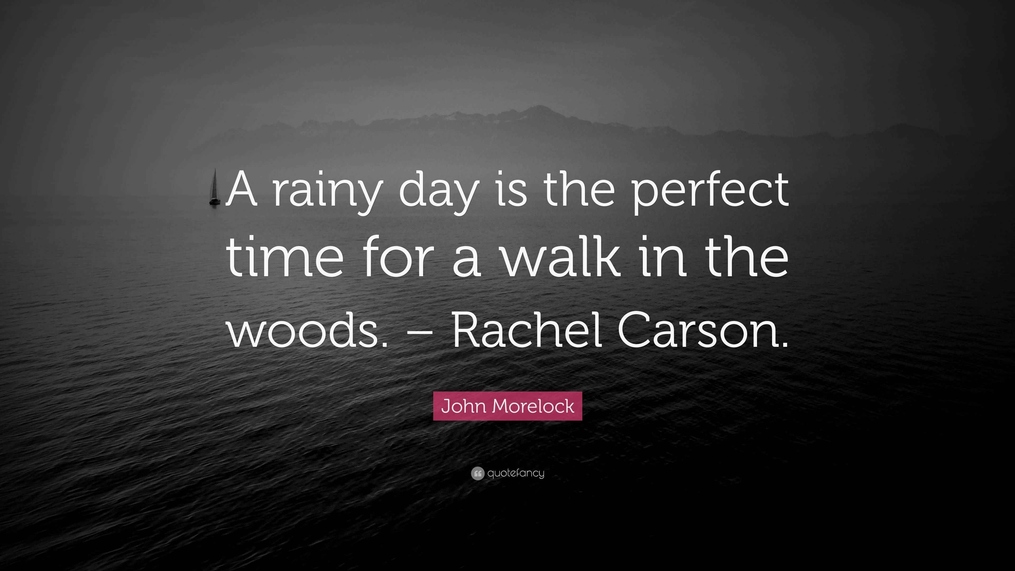 John Morelock Quote “A rainy day is the perfect time for a walk in the woods. Rachel Carson.”