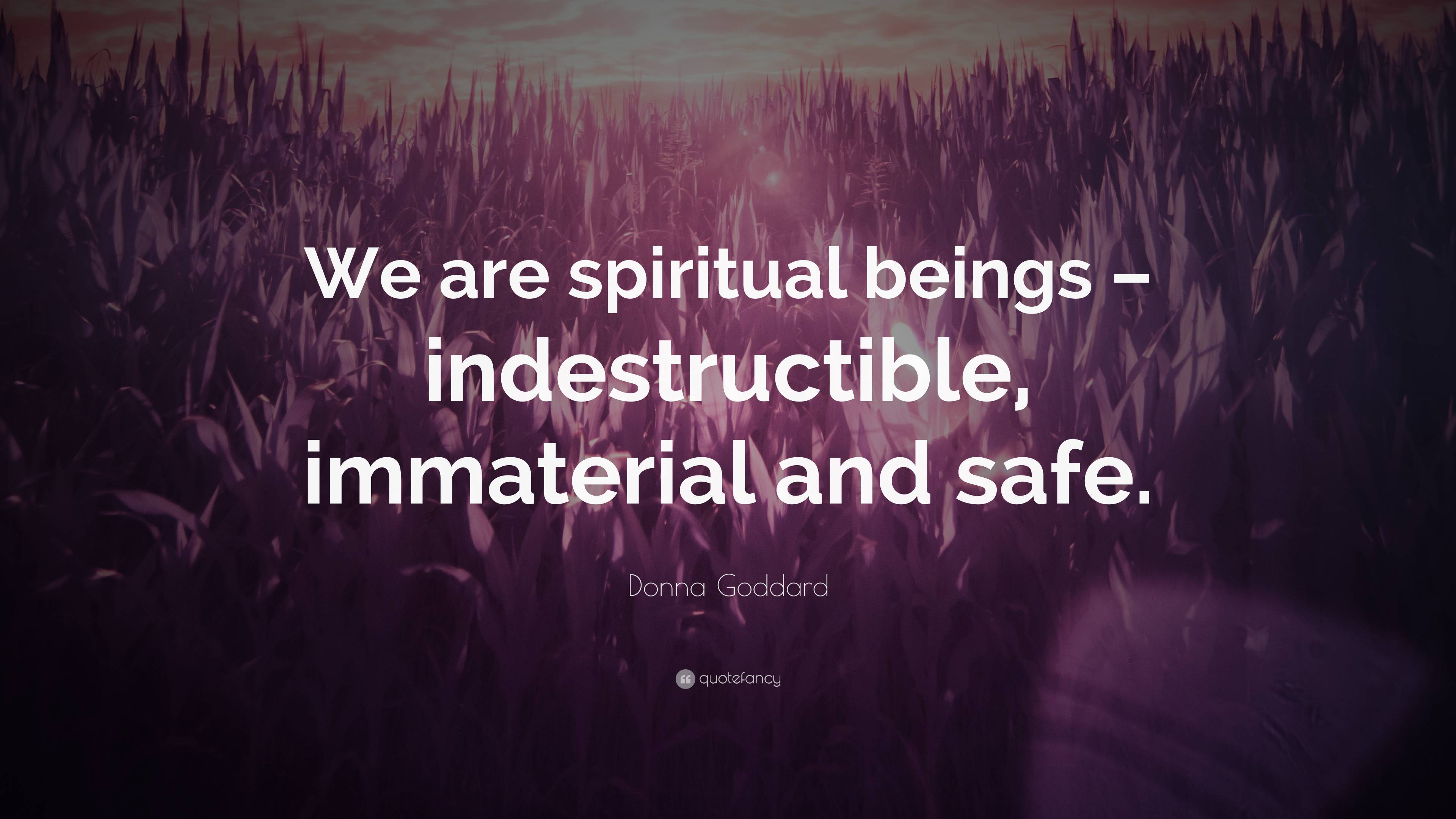 Donna Goddard Quote: “we Are Spiritual Beings – Indestructible 