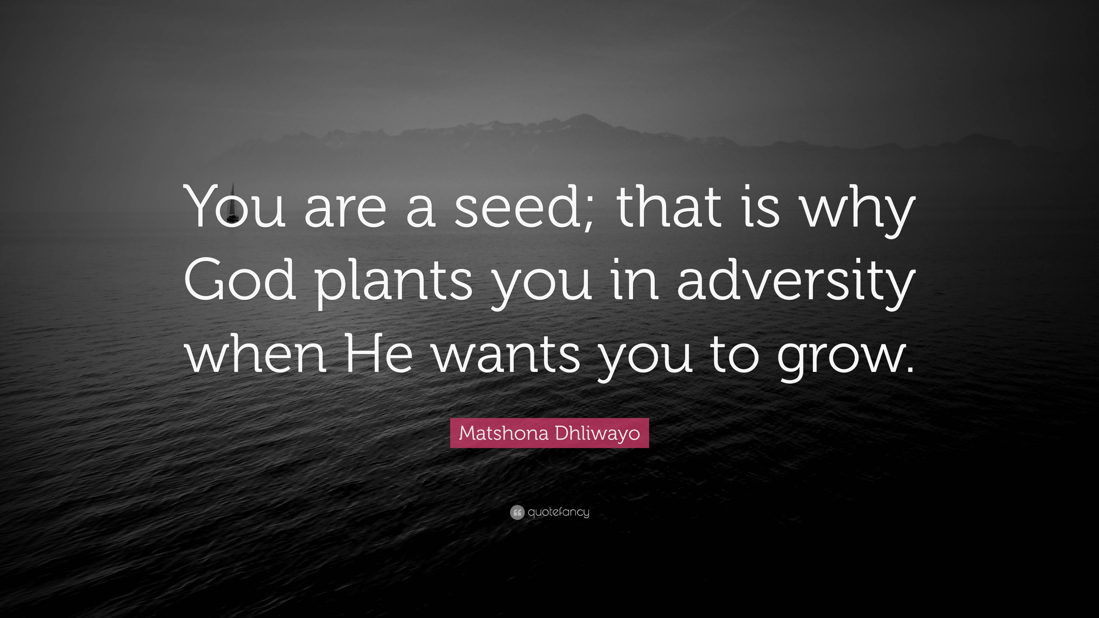 Matshona Dhliwayo Quote You Are A Seed That Is Why God Plants You In