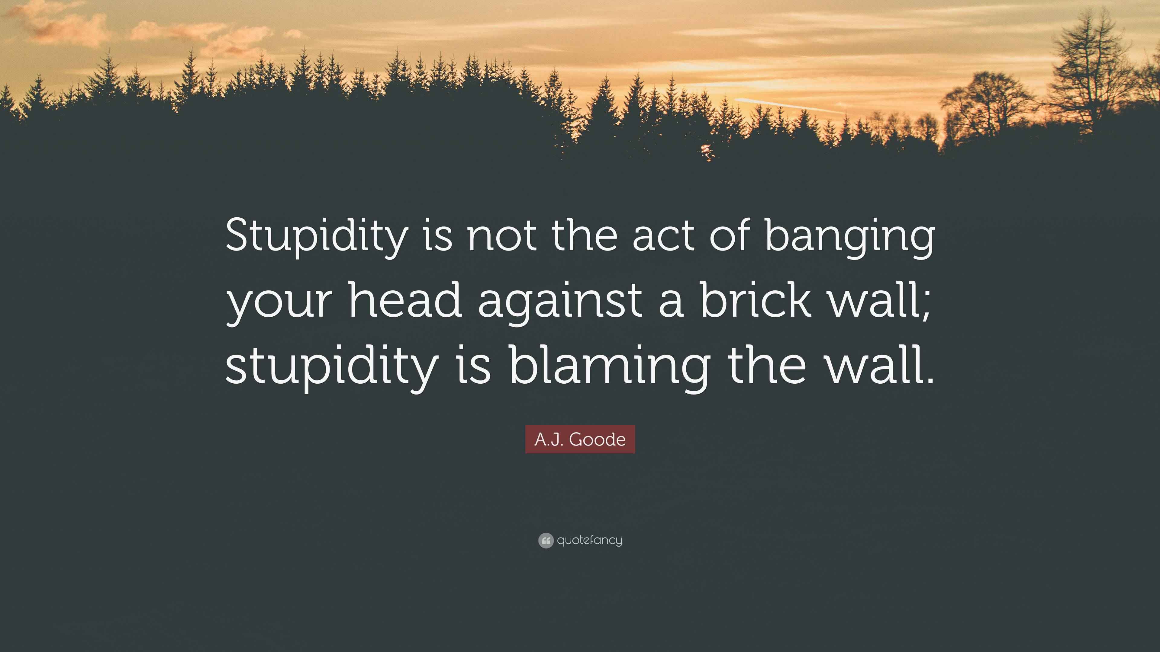 A.J. Goode Quote “Stupidity is not the act of banging your head