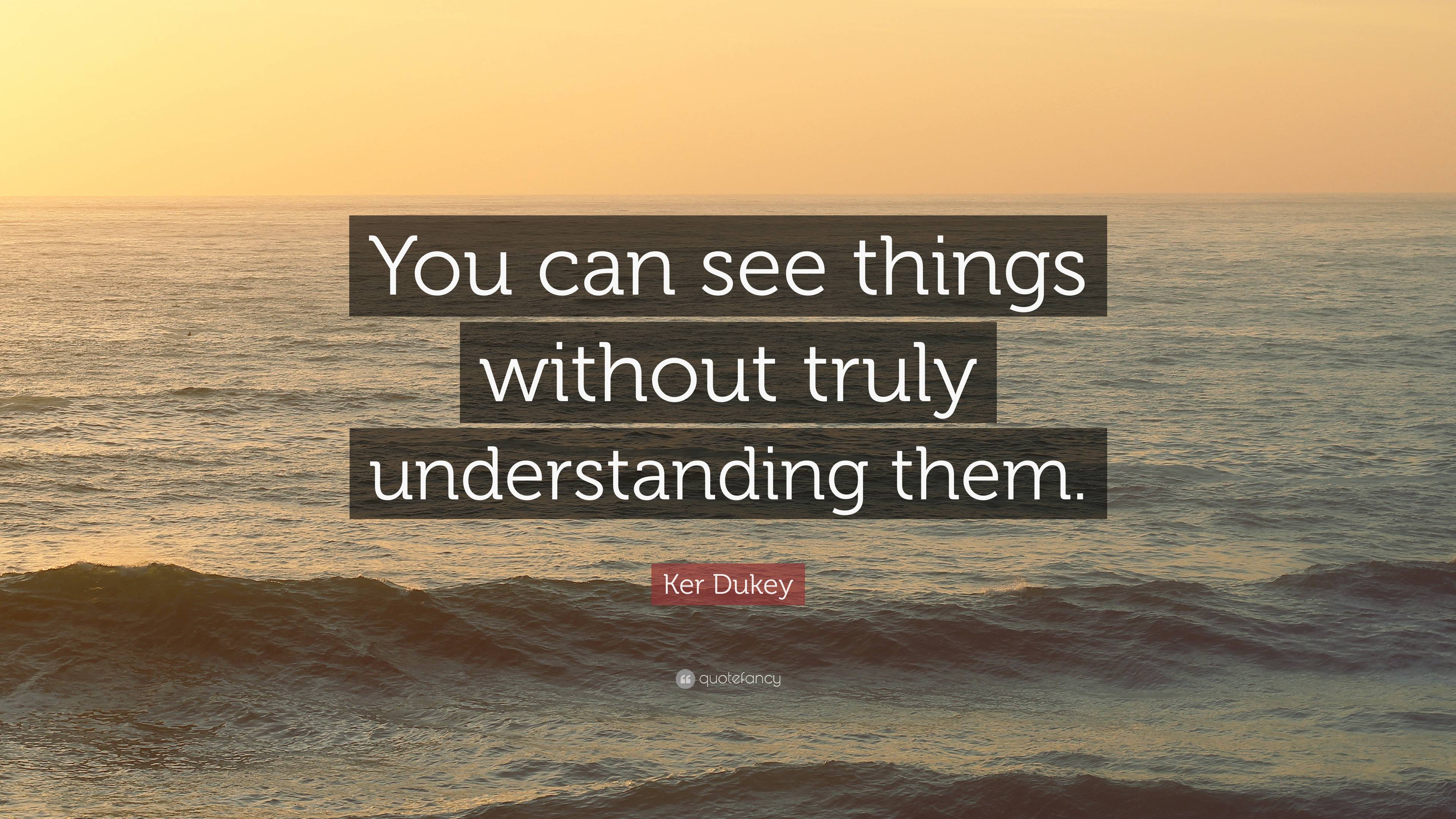 Ker Dukey Quote: “You can see things without truly understanding them.”