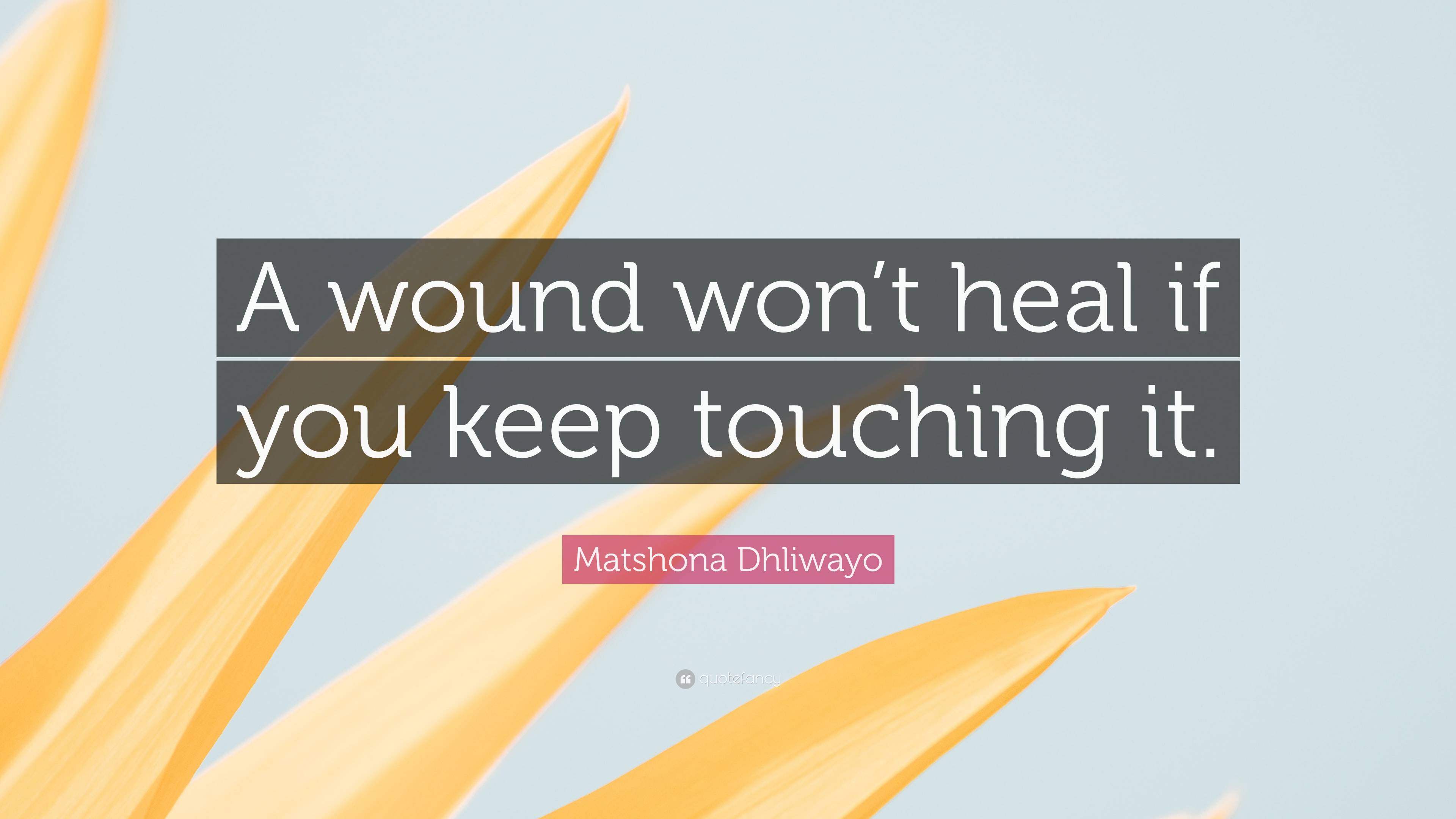 Matshona Dhliwayo Quote: “A wound won’t heal if you keep touching it.”