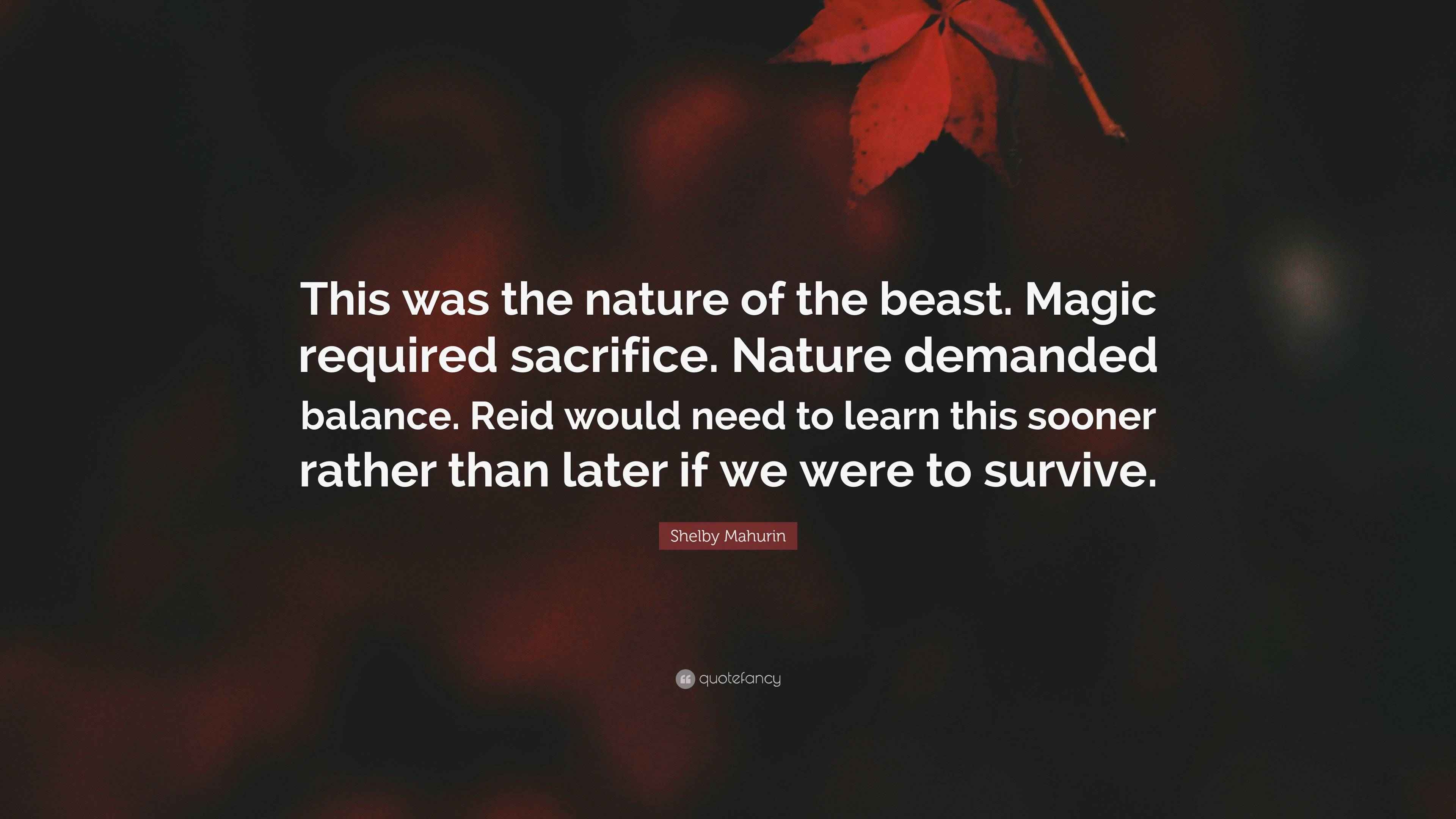 Shelby Mahurin Quote “This was the nature of the beast. Magic required