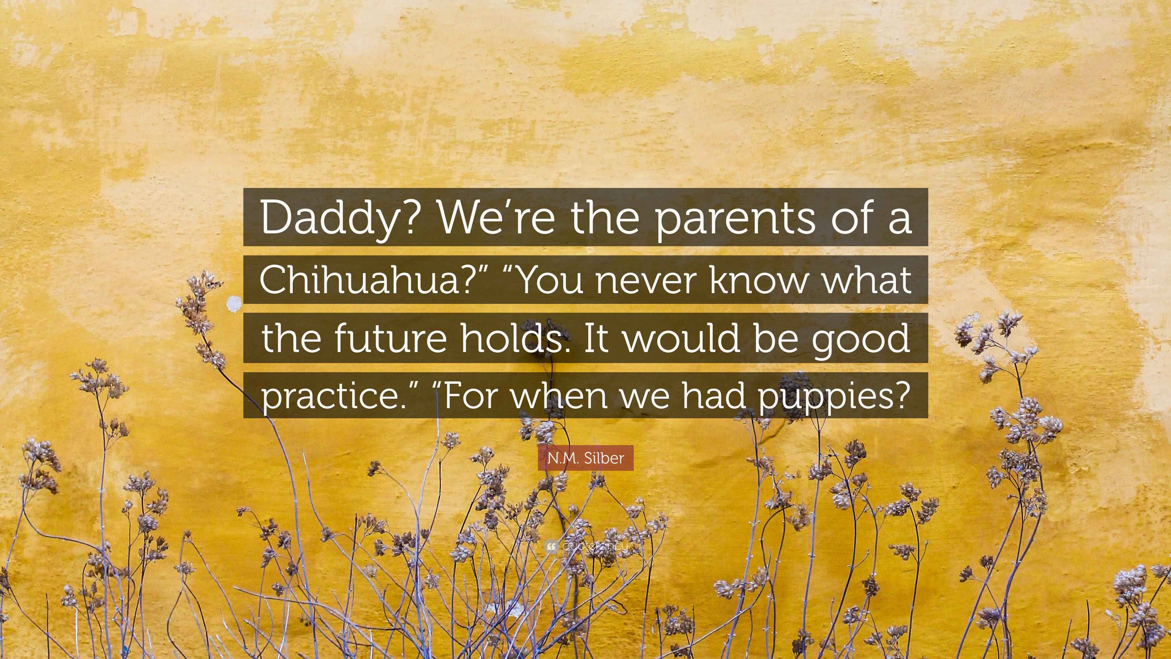 N m silber quote daddy we re the parents of a chihuahua you
