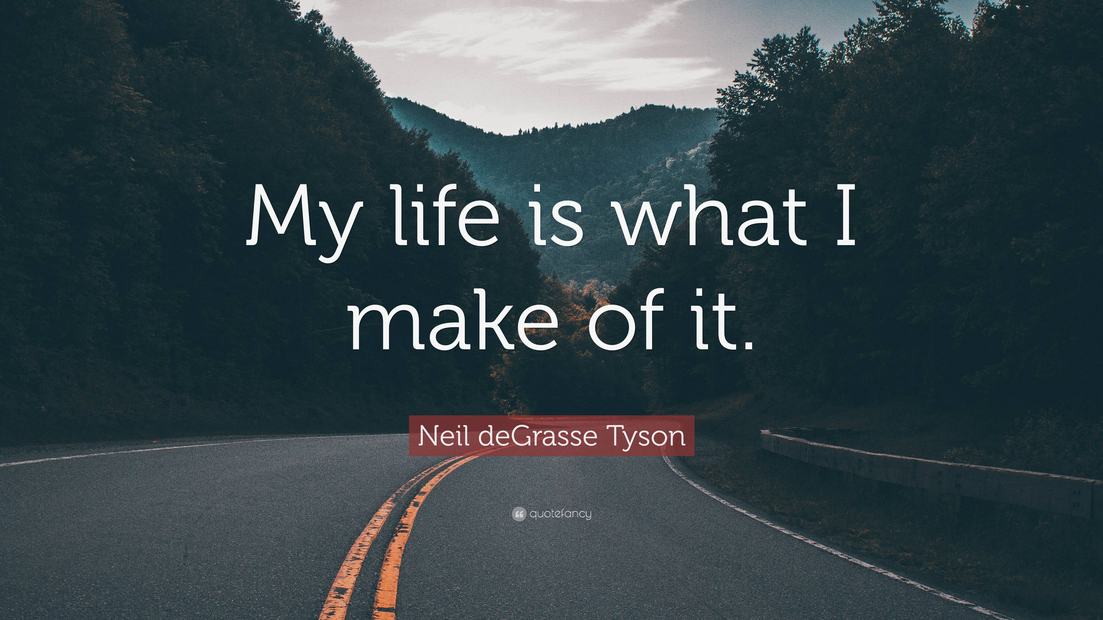 Neil DeGrasse Tyson Quote: “My Life Is What I Make Of It.”