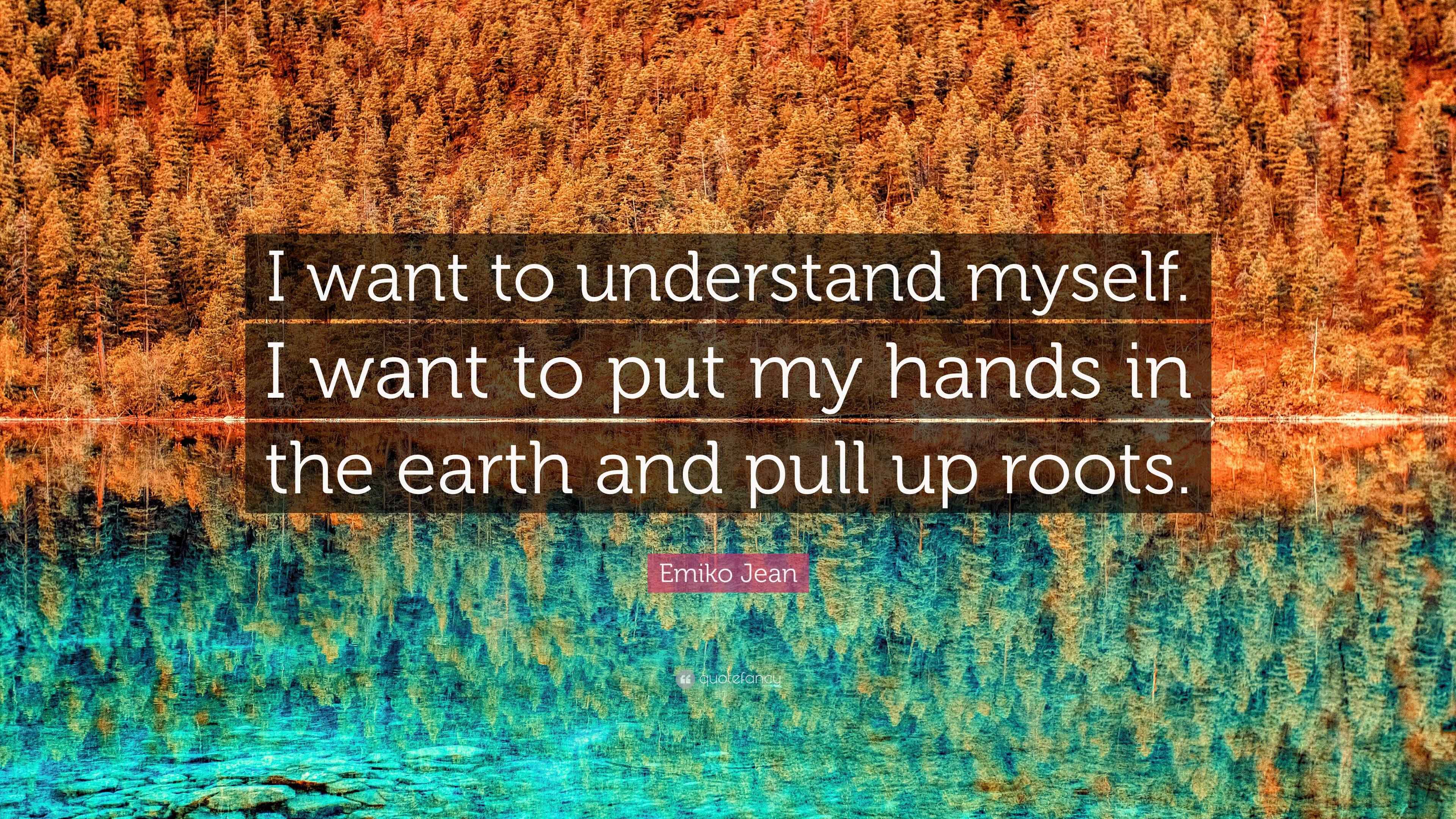 Emiko Jean Quote “I want to understand myself. I want to put my hands