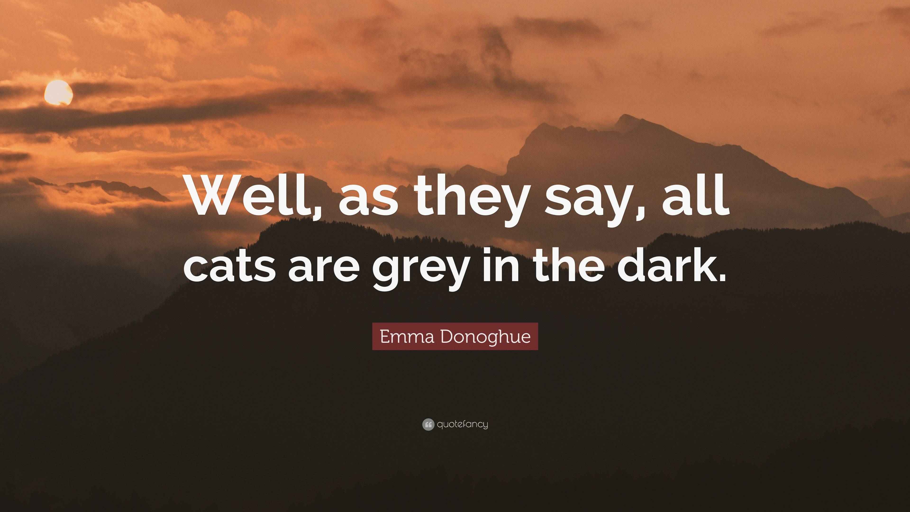 Emma Donoghue Quote “Well, as they say, all cats are grey in the dark.”