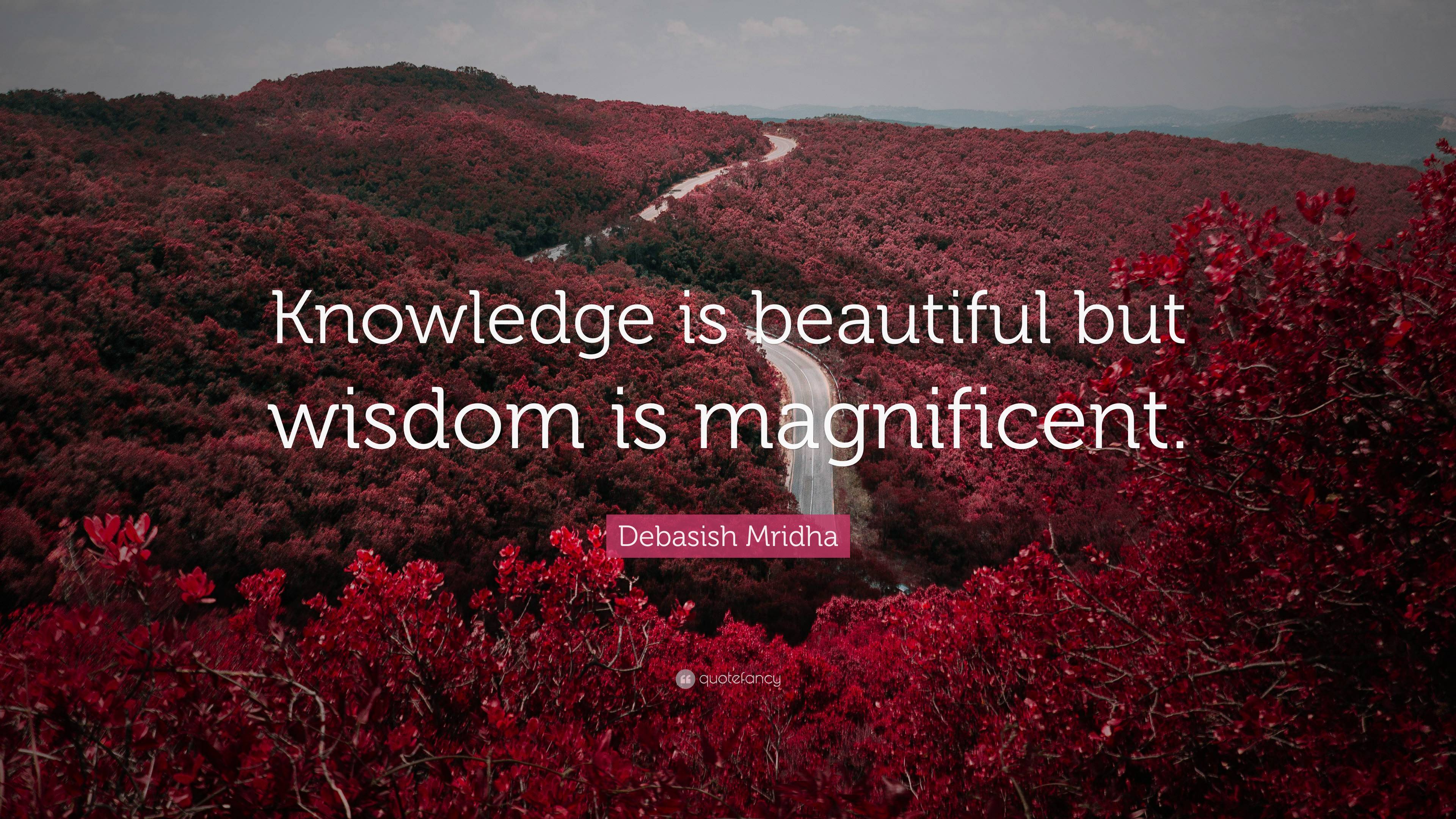 Debasish Mridha Quote: “Knowledge is beautiful but wisdom is magnificent.”