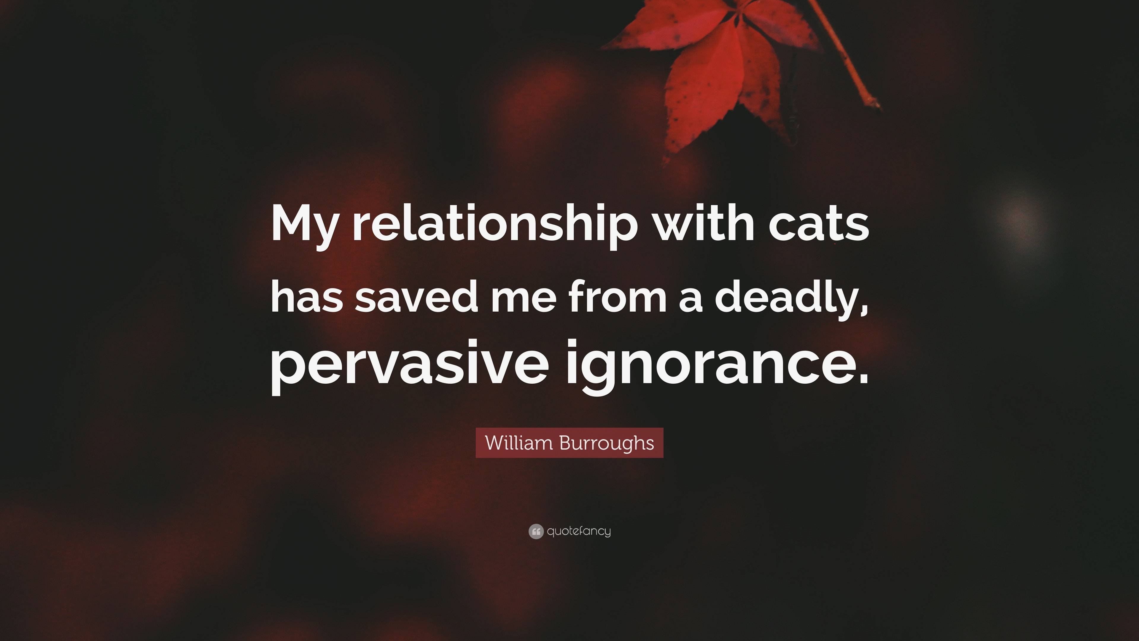 William Burroughs Quote: “My relationship with cats has saved me from a ...