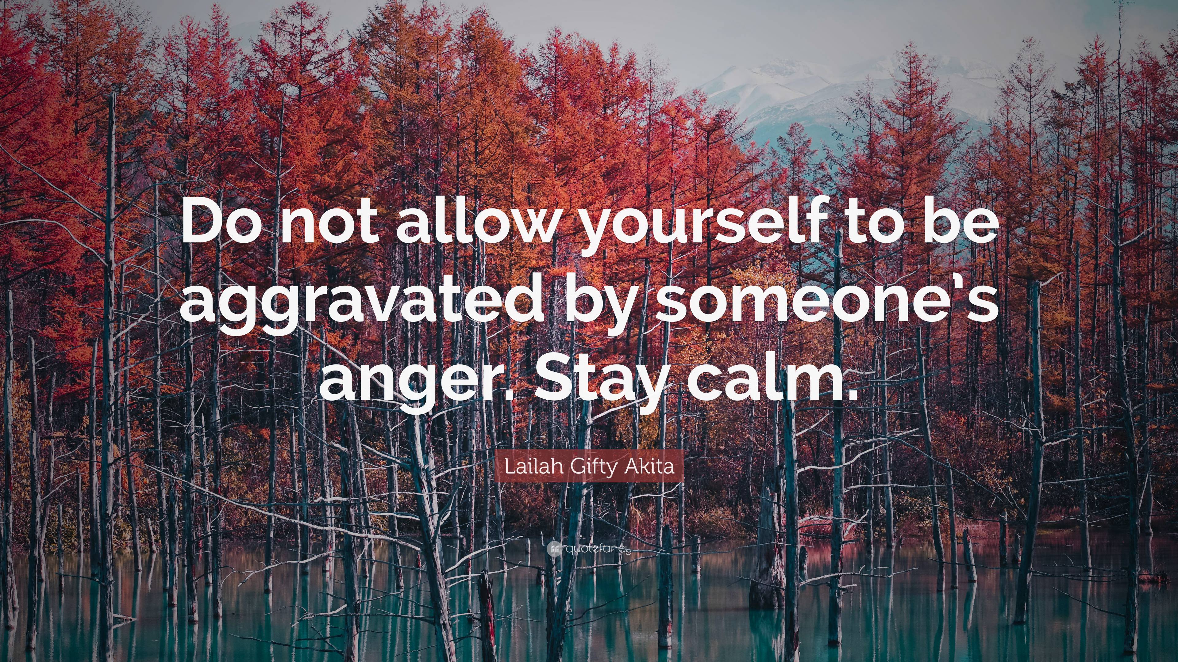 Lailah Gifty Akita Quote: “Do not allow yourself to be aggravated by ...