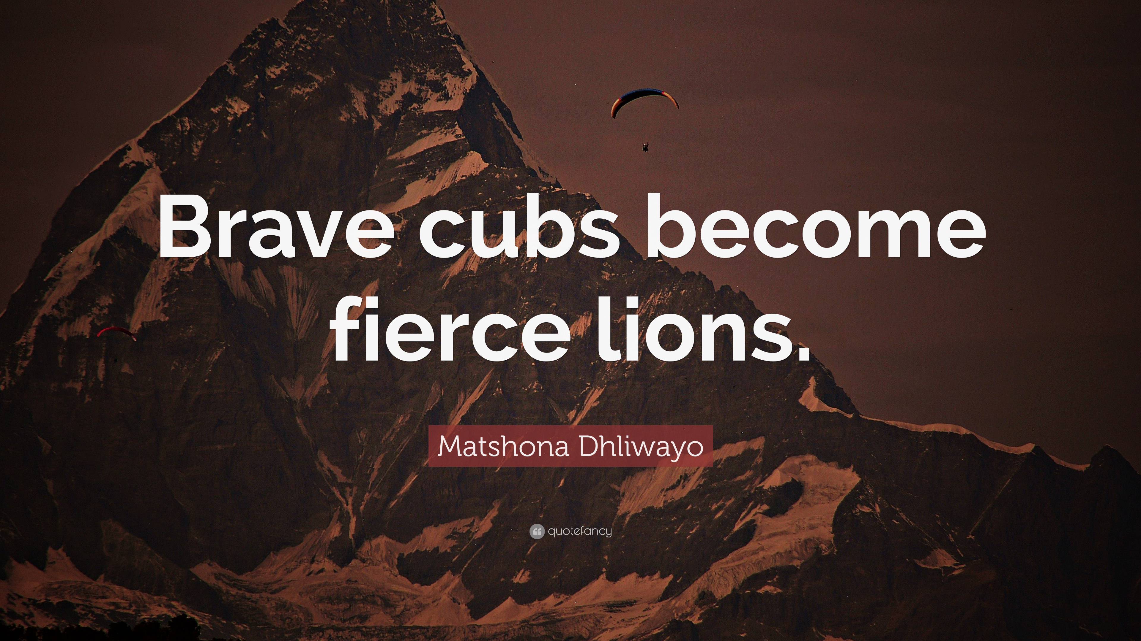 Matshona Dhliwayo Quote: “Brave cubs become fierce lions.”