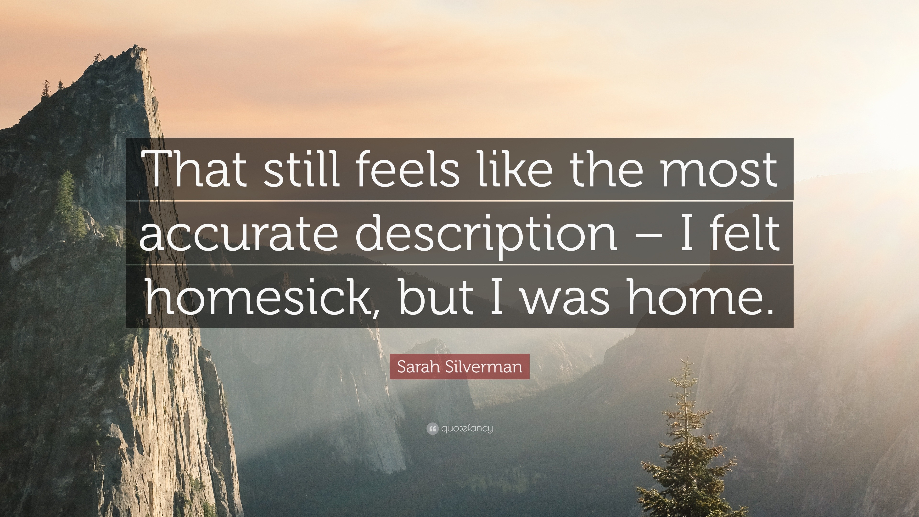 Sarah Silverman Quote: “That Still Feels Like The Most Accurate ...